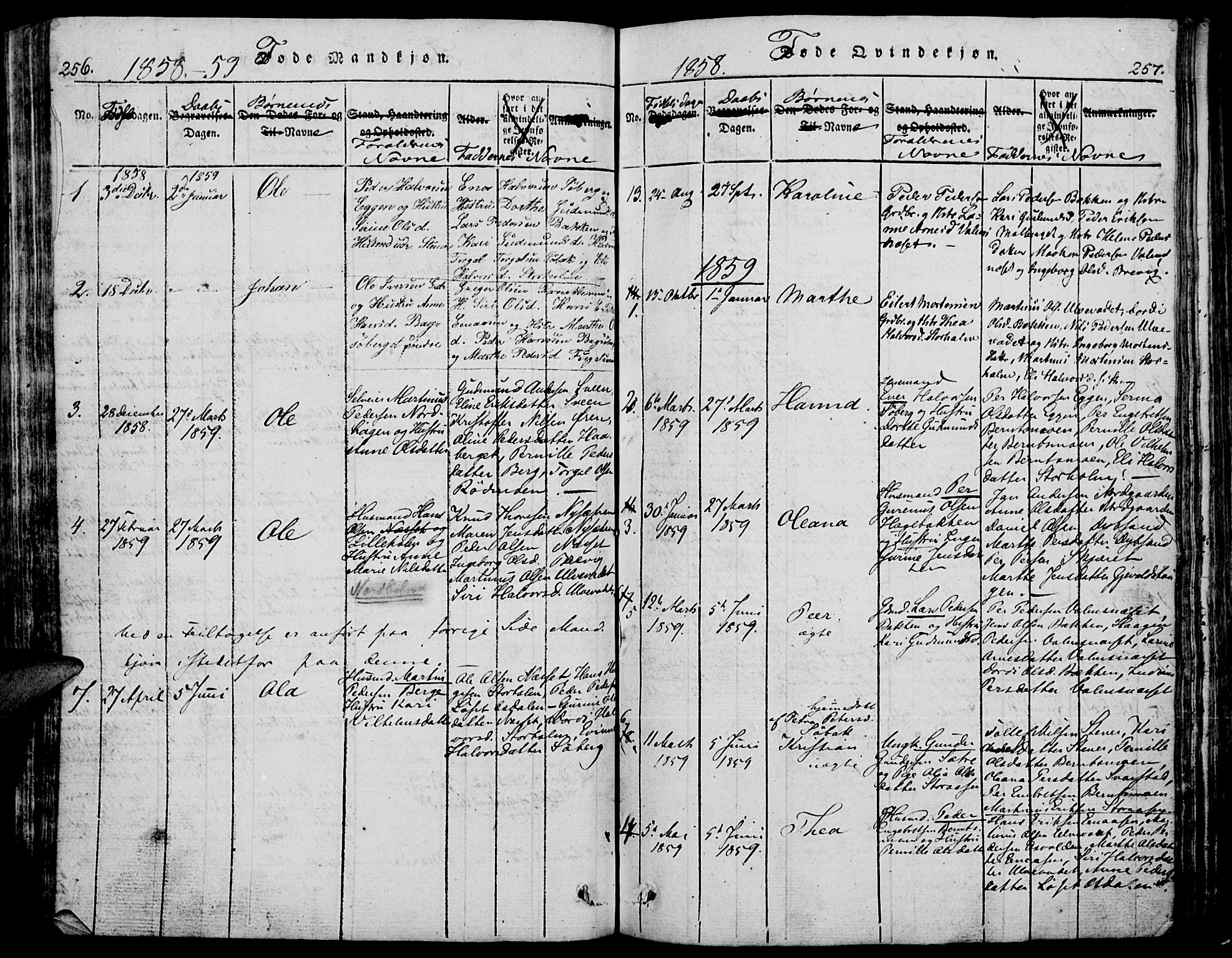 Trysil prestekontor, AV/SAH-PREST-046/H/Ha/Hab/L0005: Parish register (copy) no. 5, 1814-1877, p. 256-257