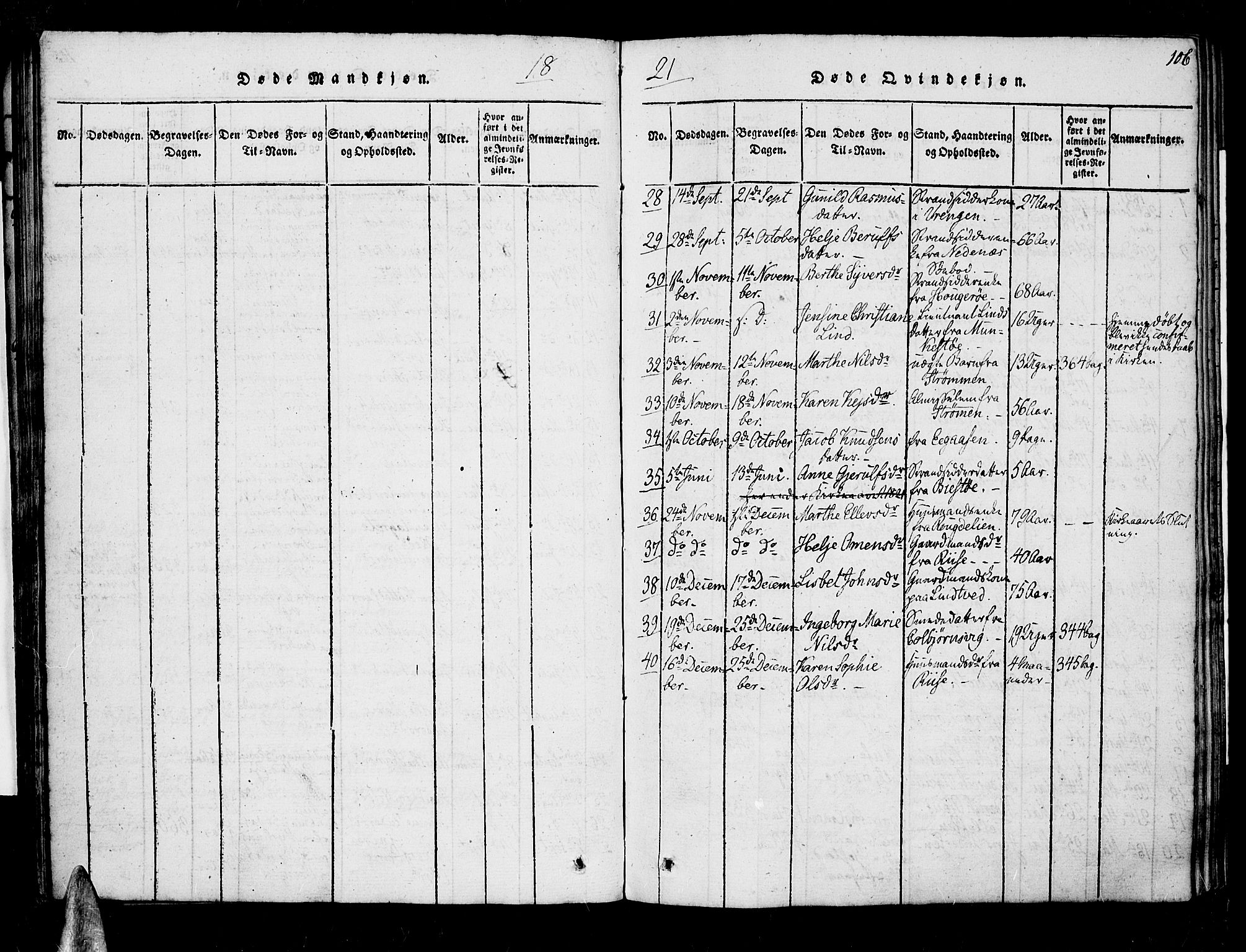 Øyestad sokneprestkontor, AV/SAK-1111-0049/F/Fa/L0012: Parish register (official) no. A 12, 1816-1827, p. 106