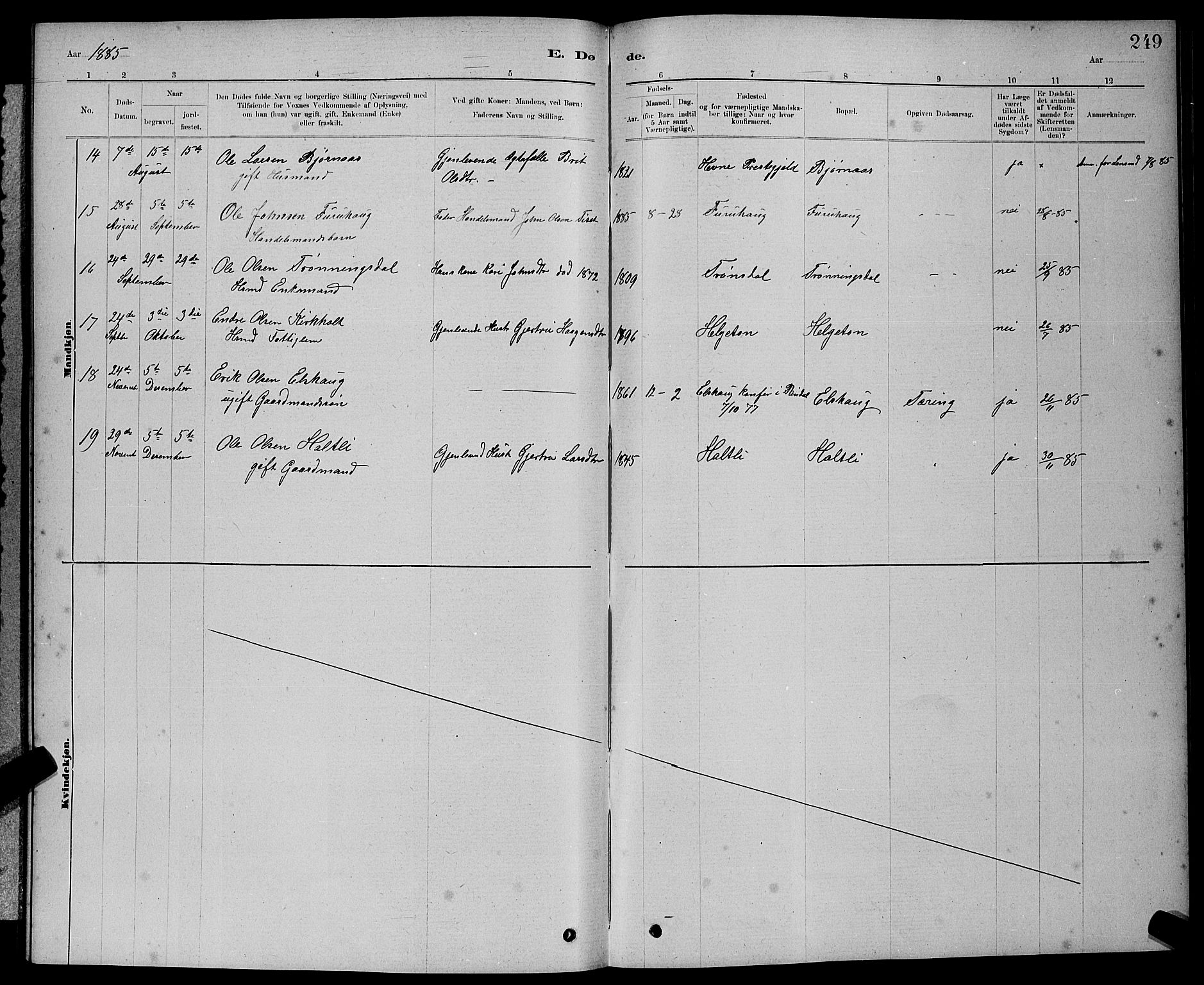 Ministerialprotokoller, klokkerbøker og fødselsregistre - Møre og Romsdal, AV/SAT-A-1454/598/L1077: Parish register (copy) no. 598C02, 1879-1891, p. 249