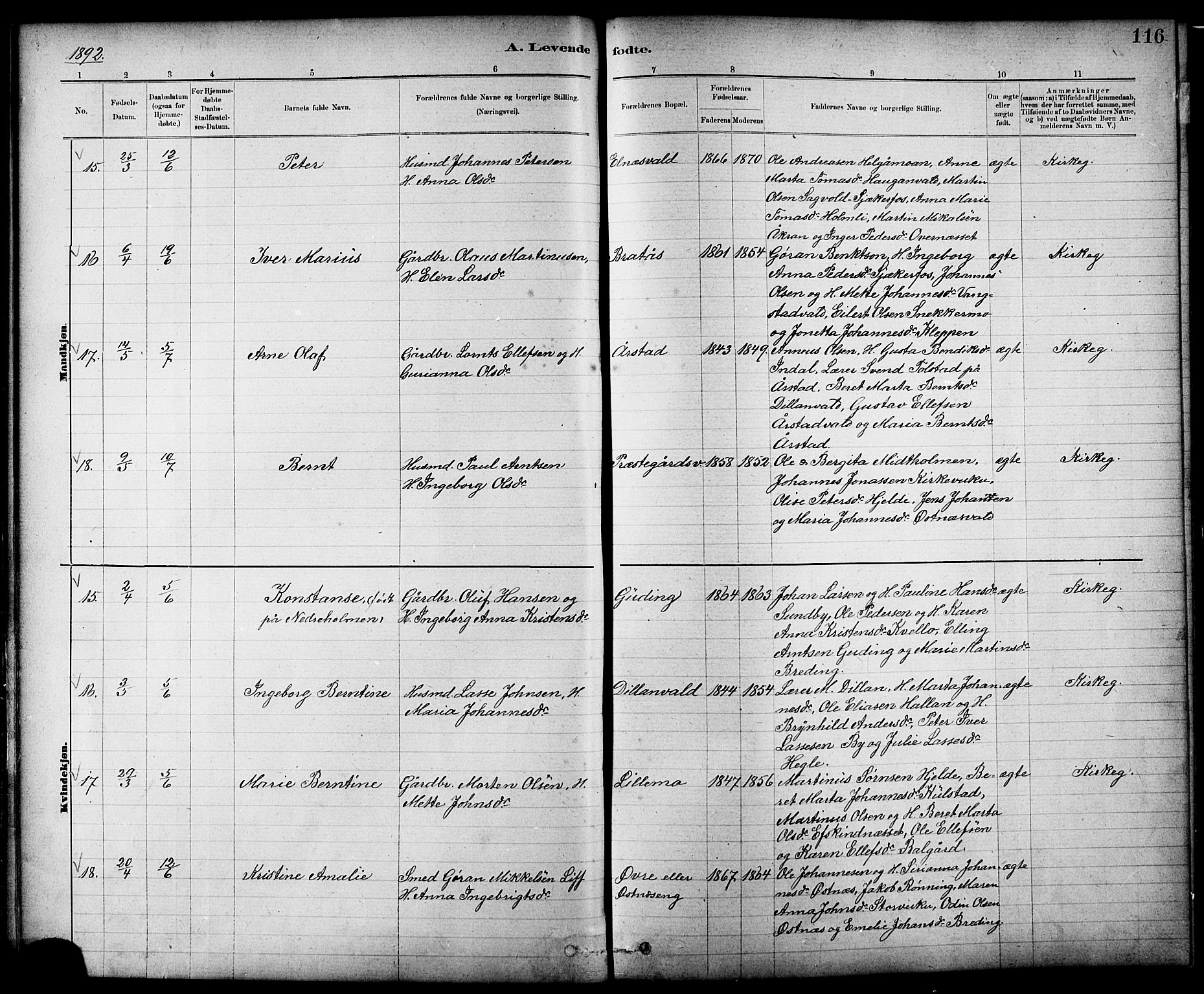 Ministerialprotokoller, klokkerbøker og fødselsregistre - Nord-Trøndelag, AV/SAT-A-1458/724/L0267: Parish register (copy) no. 724C03, 1879-1898, p. 116