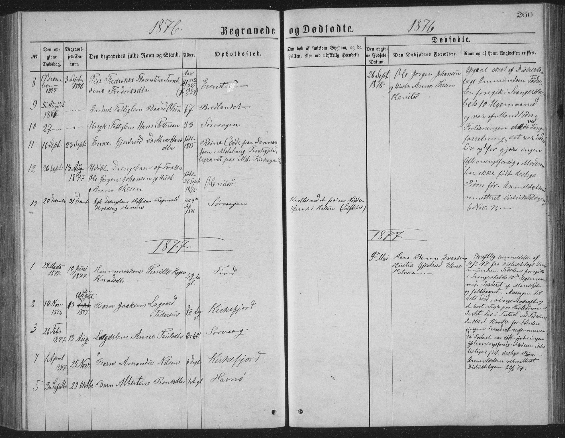 Ministerialprotokoller, klokkerbøker og fødselsregistre - Nordland, AV/SAT-A-1459/886/L1225: Parish register (copy) no. 886C02, 1874-1896, p. 260