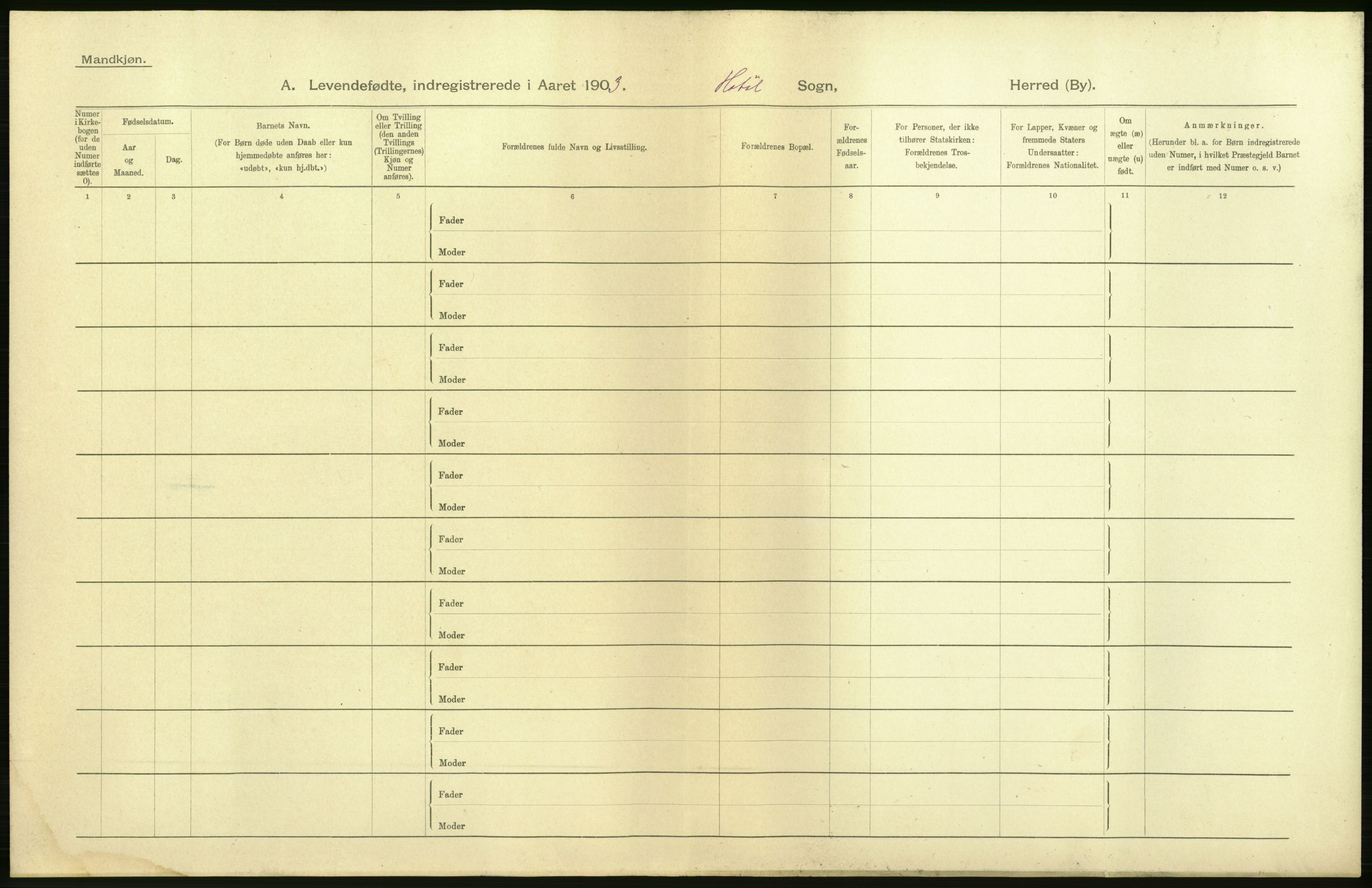 Statistisk sentralbyrå, Sosiodemografiske emner, Befolkning, AV/RA-S-2228/D/Df/Dfa/Dfaa/L0001: Smålenenes amt: Fødte, gifte, døde, 1903, p. 8