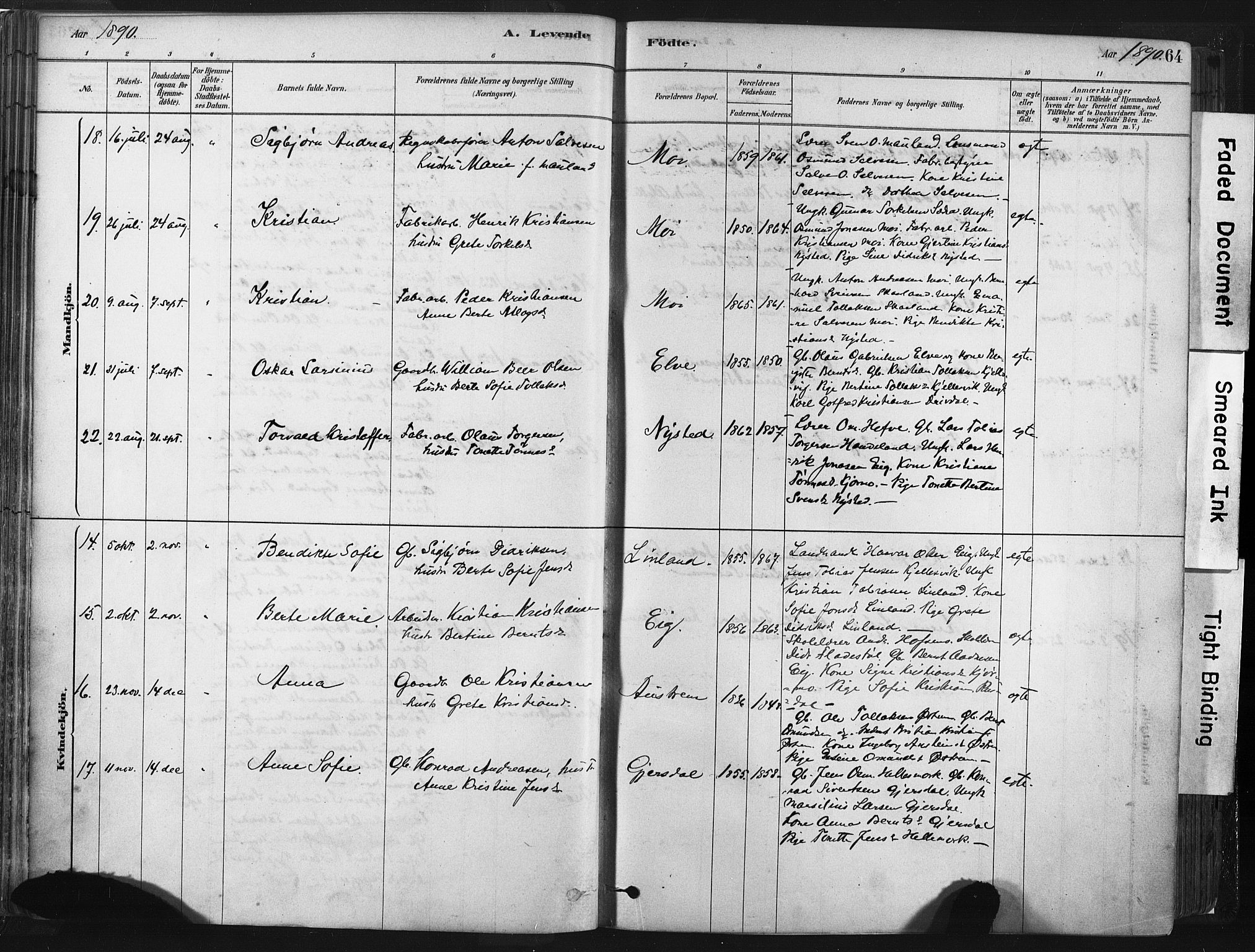 Lund sokneprestkontor, AV/SAST-A-101809/S06/L0011: Parish register (official) no. A 10, 1877-1904, p. 64