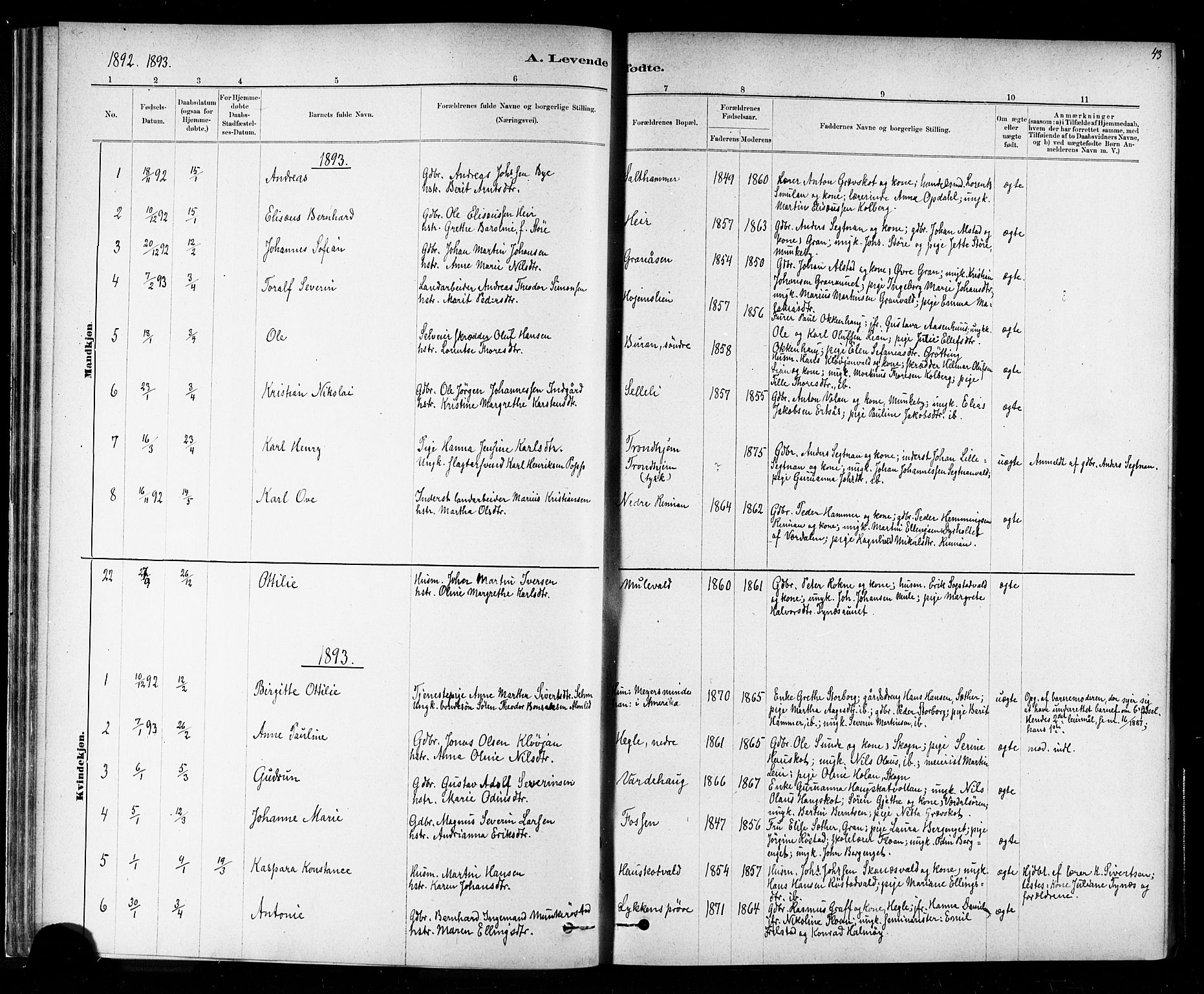 Ministerialprotokoller, klokkerbøker og fødselsregistre - Nord-Trøndelag, SAT/A-1458/721/L0208: Parish register (copy) no. 721C01, 1880-1917, p. 43