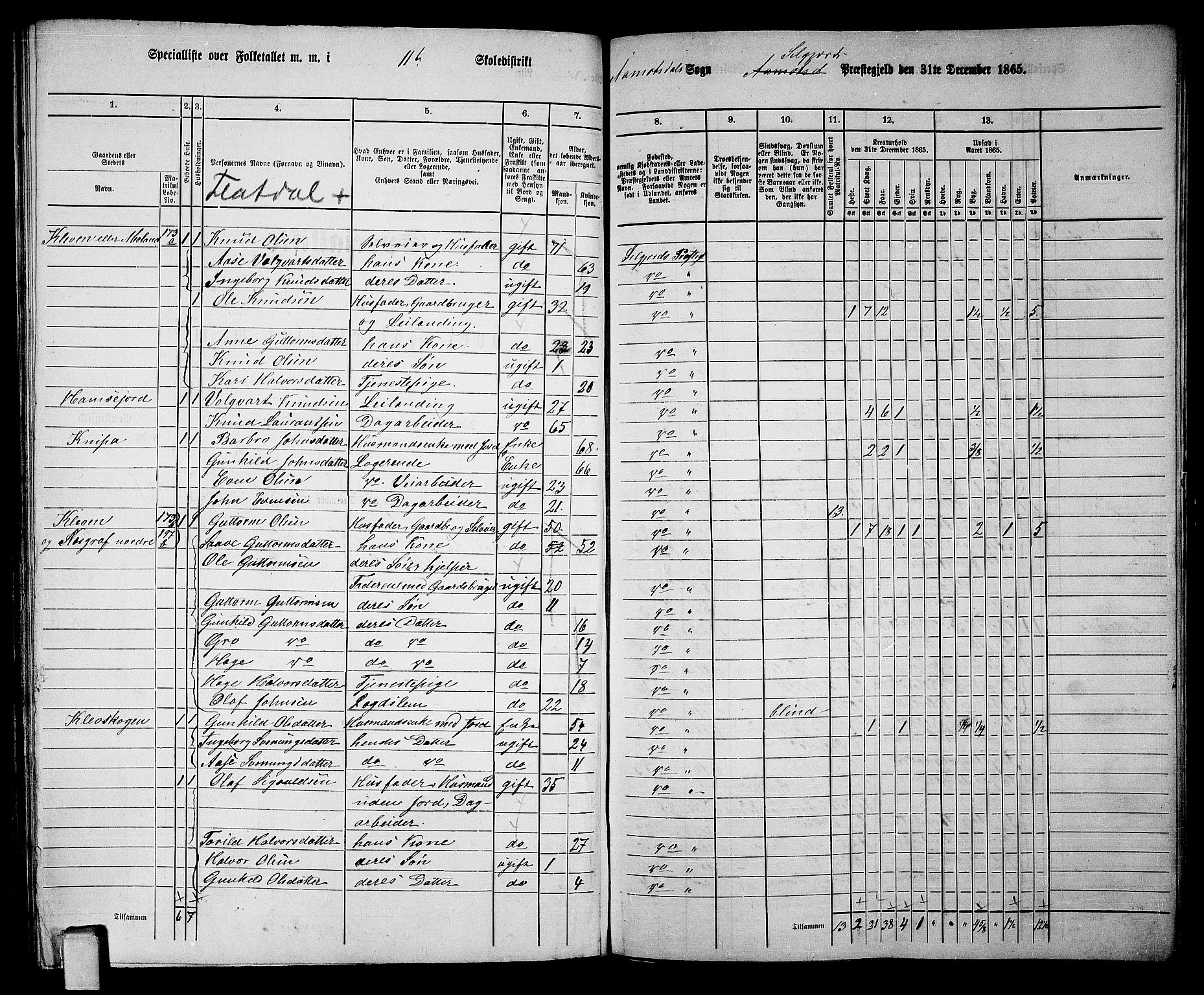 RA, 1865 census for Seljord, 1865, p. 146