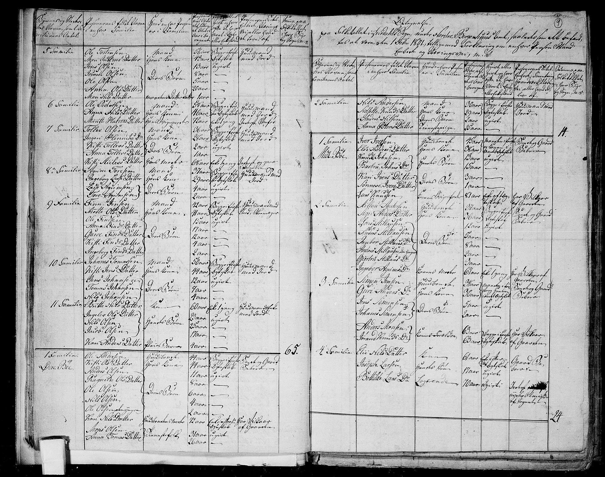 RA, 1801 census for 1422P Lærdal, 1801, p. 8b-9a