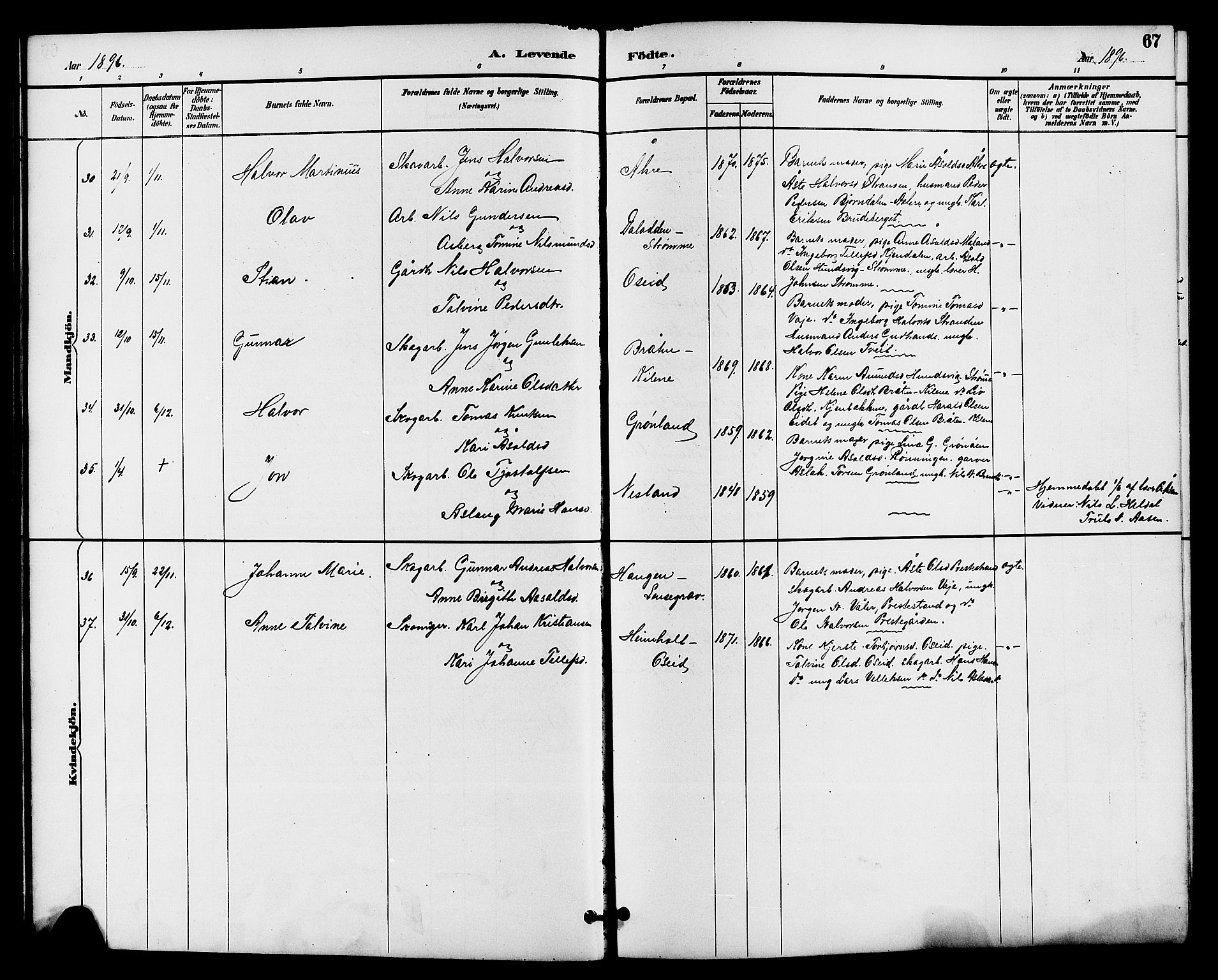 Drangedal kirkebøker, SAKO/A-258/G/Ga/L0003: Parish register (copy) no. I 3, 1887-1906, p. 67