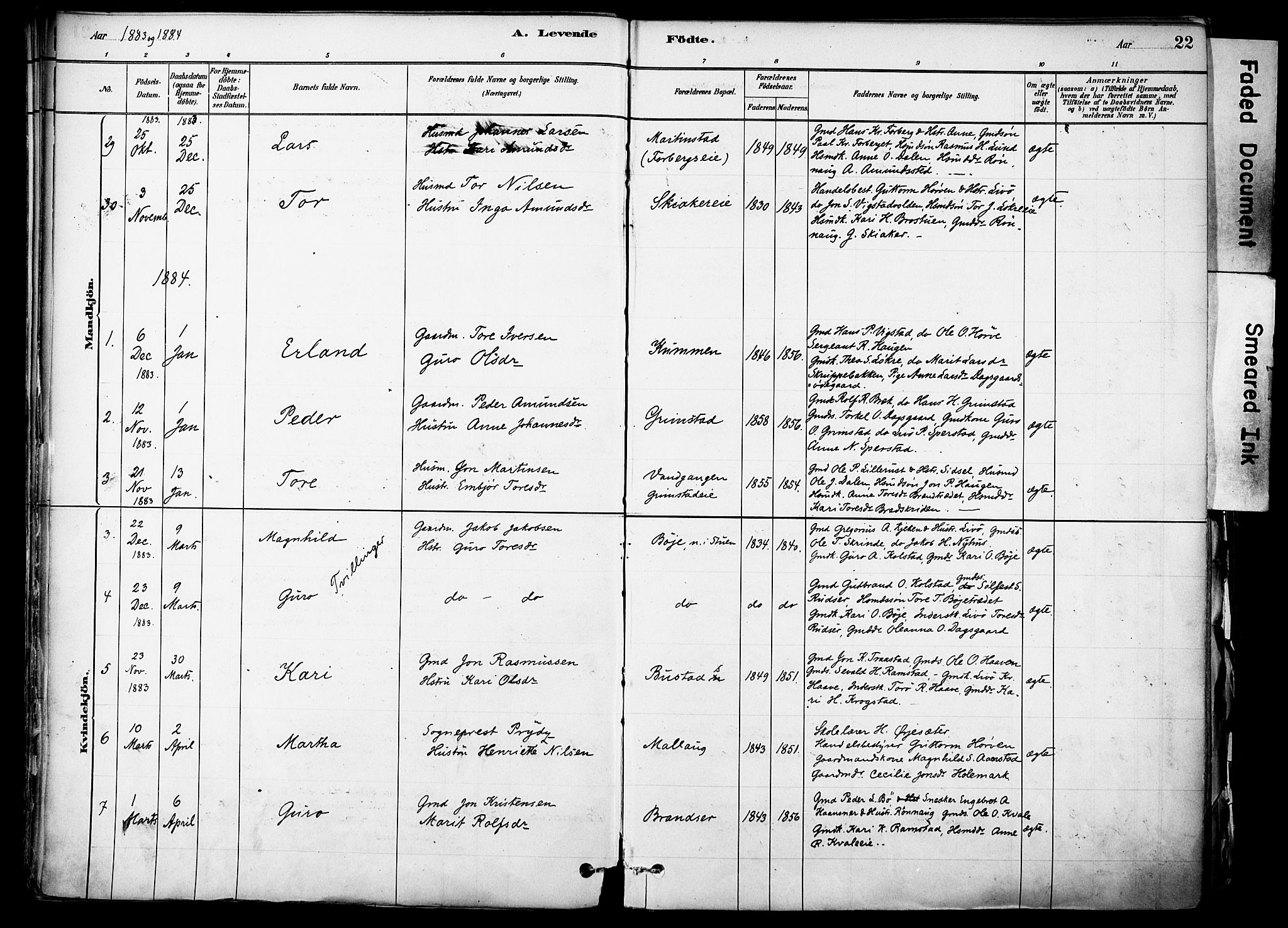 Skjåk prestekontor, SAH/PREST-072/H/Ha/Haa/L0003: Parish register (official) no. 3, 1880-1907, p. 22