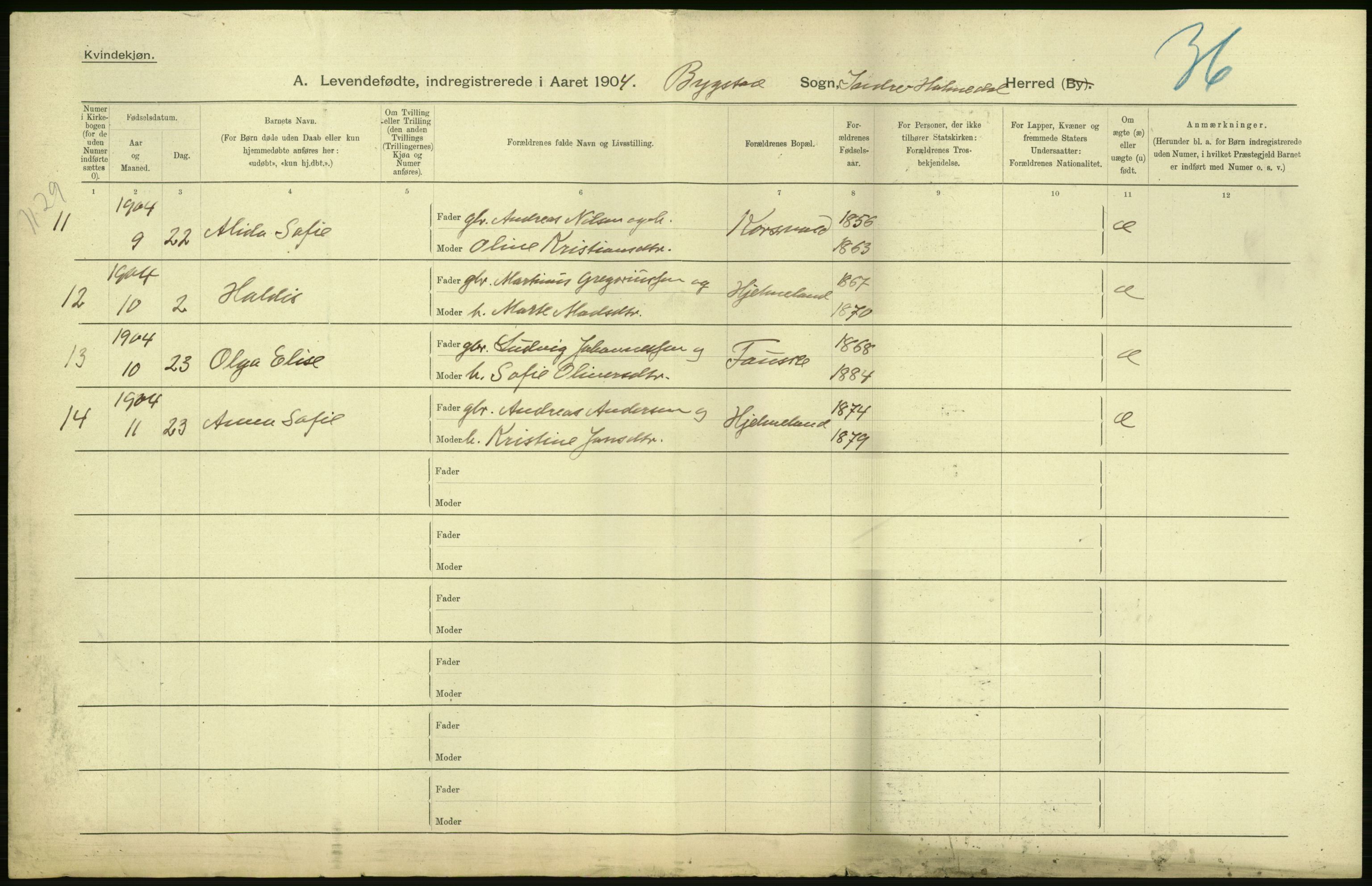 Statistisk sentralbyrå, Sosiodemografiske emner, Befolkning, RA/S-2228/D/Df/Dfa/Dfab/L0015: Nordre Bergenhus amt: Fødte, gifte, døde. Bygder, 1904, p. 58