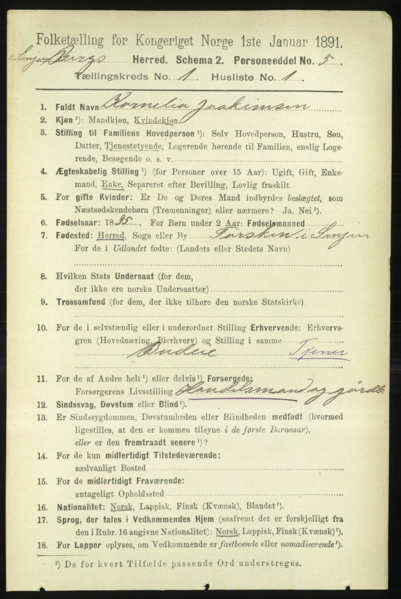 RA, 1891 census for 1929 Berg, 1891, p. 99