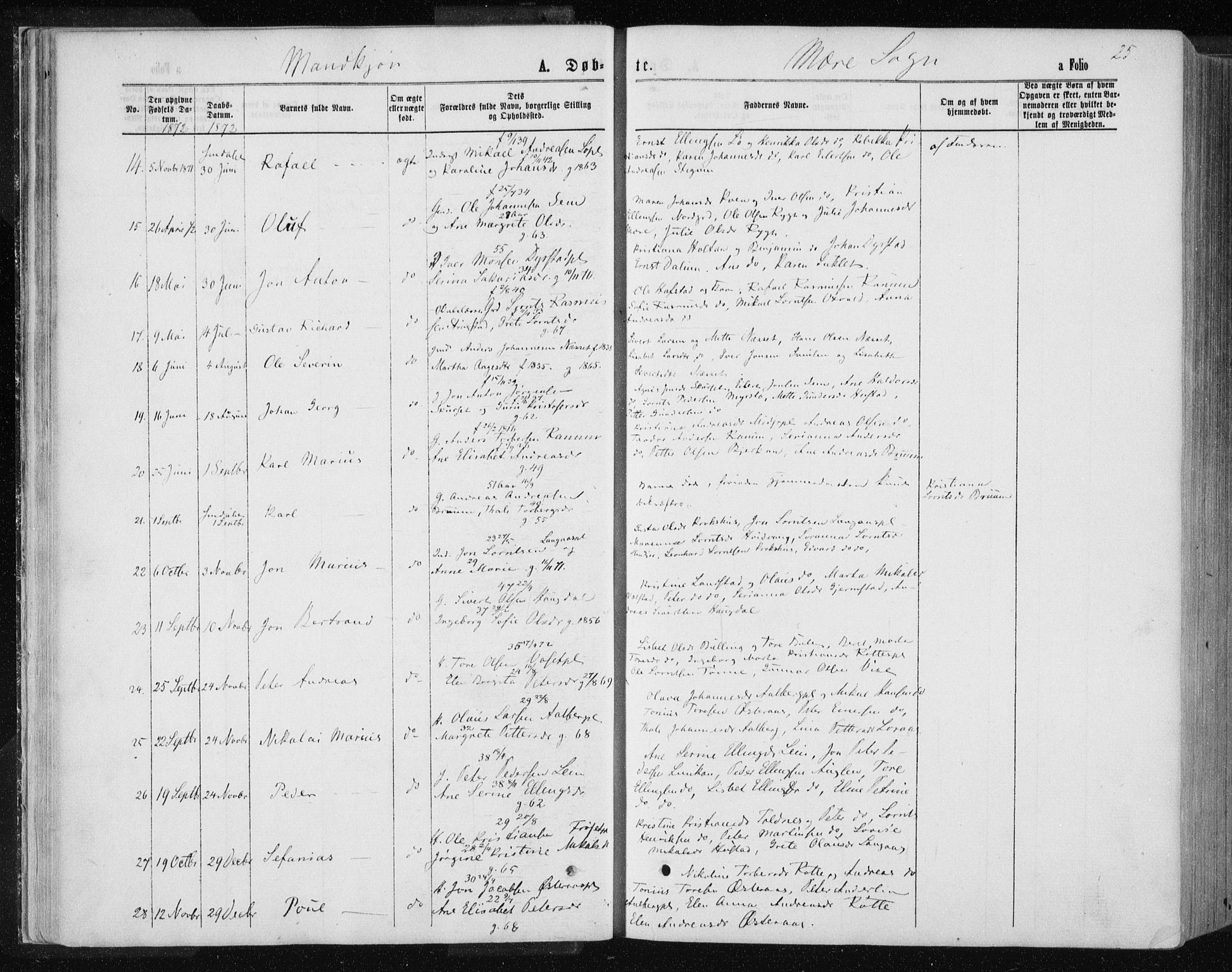 Ministerialprotokoller, klokkerbøker og fødselsregistre - Nord-Trøndelag, SAT/A-1458/735/L0345: Parish register (official) no. 735A08 /1, 1863-1872, p. 25