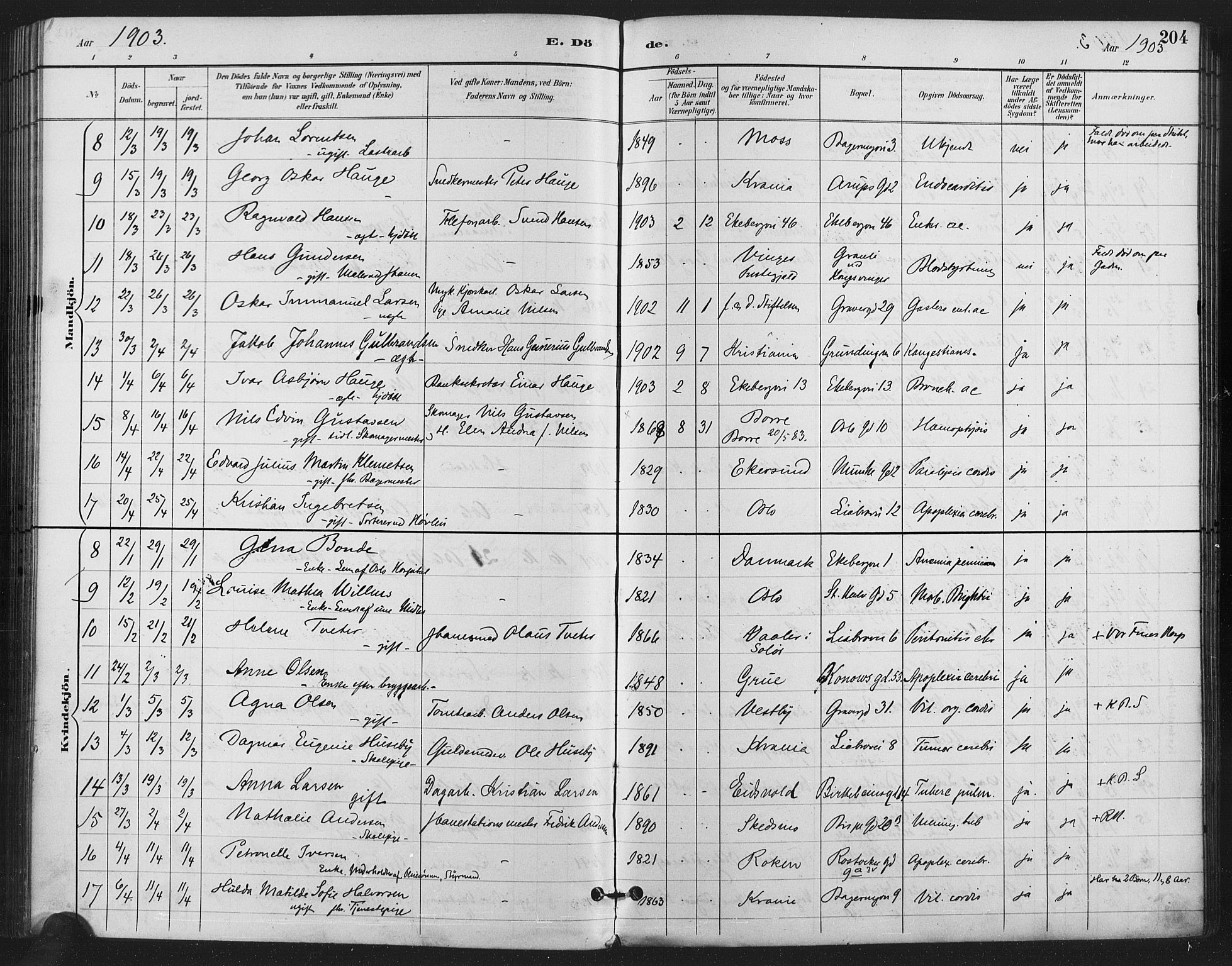 Gamlebyen prestekontor Kirkebøker, SAO/A-10884/F/Fa/L0009: Parish register (official) no. 9, 1888-1909, p. 204