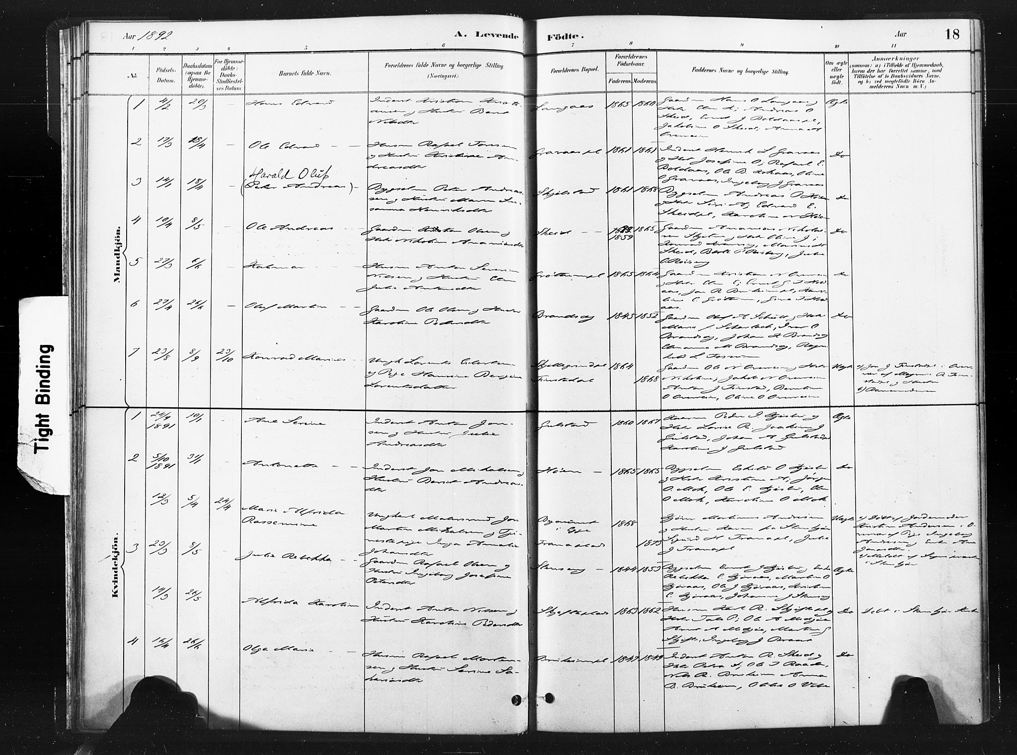 Ministerialprotokoller, klokkerbøker og fødselsregistre - Nord-Trøndelag, SAT/A-1458/736/L0361: Parish register (official) no. 736A01, 1884-1906, p. 18