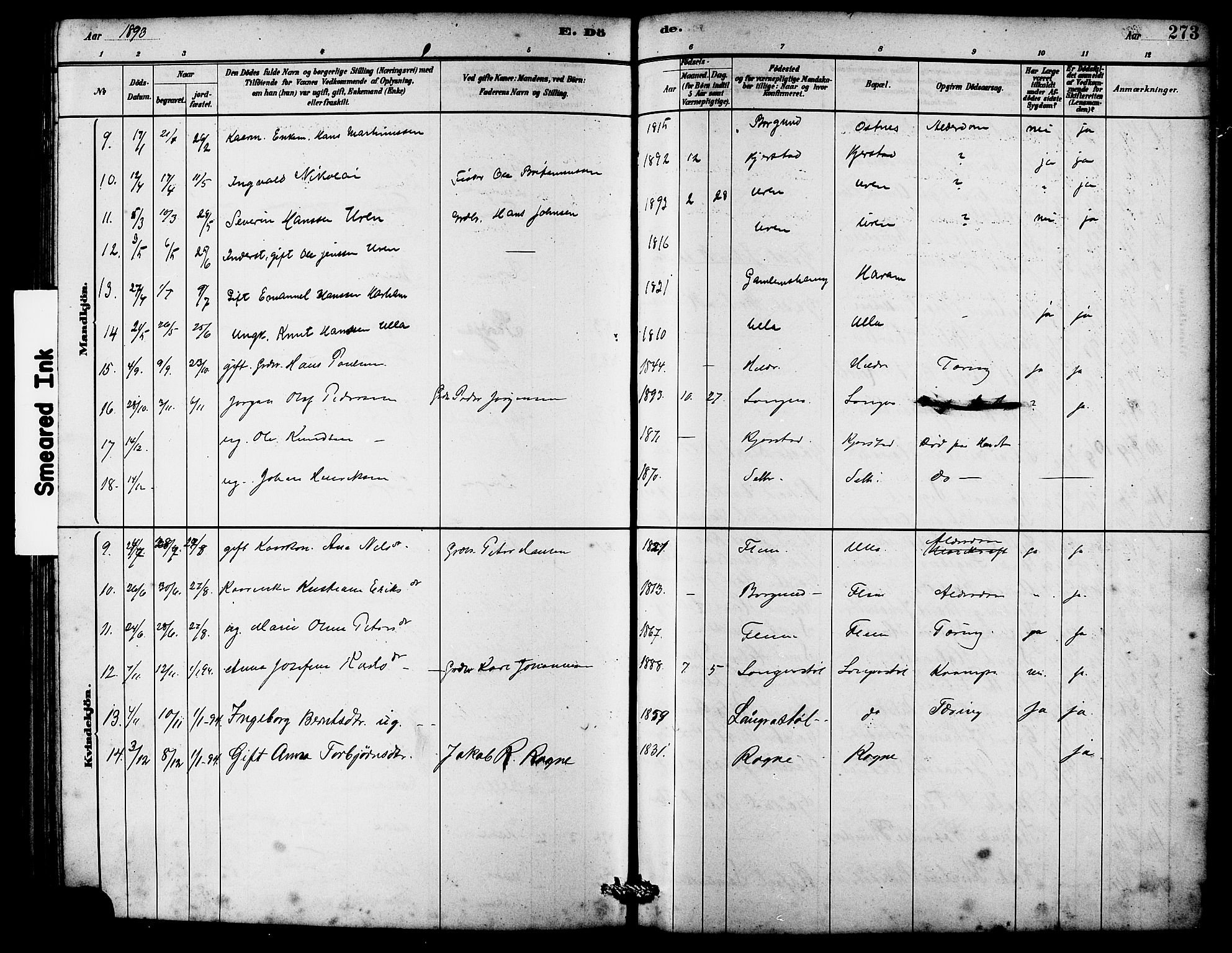 Ministerialprotokoller, klokkerbøker og fødselsregistre - Møre og Romsdal, AV/SAT-A-1454/536/L0510: Parish register (copy) no. 536C05, 1881-1898, p. 273