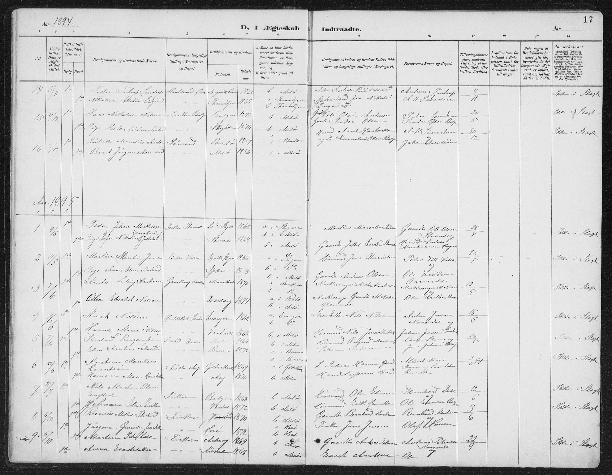 Ministerialprotokoller, klokkerbøker og fødselsregistre - Nordland, AV/SAT-A-1459/843/L0638: Parish register (copy) no. 843C07, 1888-1907, p. 17