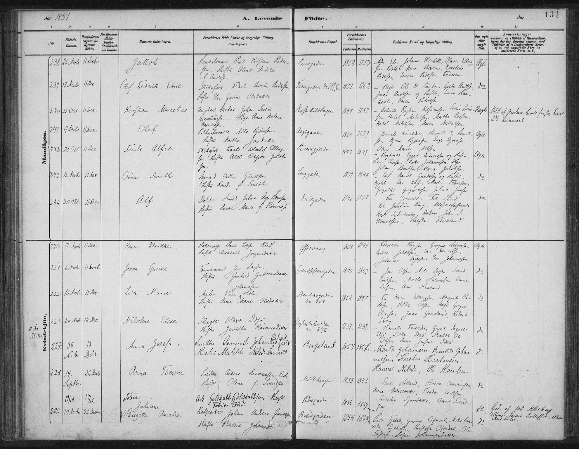 St. Petri sokneprestkontor, SAST/A-101813/001/30/30BB/L0004: Parish register (copy) no. B 4, 1878-1890, p. 134