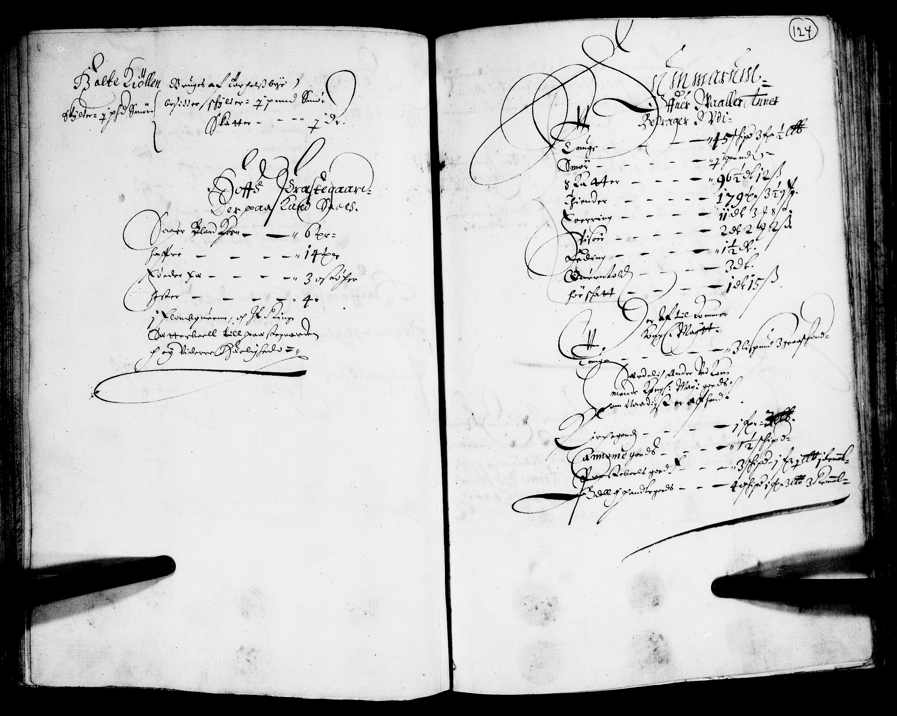 Rentekammeret inntil 1814, Realistisk ordnet avdeling, RA/EA-4070/N/Nb/Nba/L0011: Odal, Solør og Østerdalen fogderi, 1667, p. 123b-124a