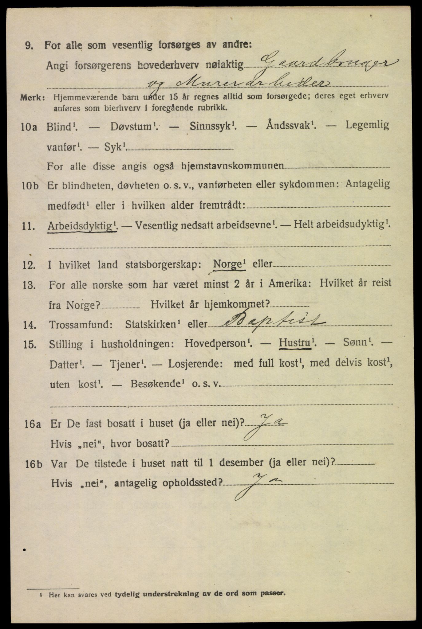 SAK, 1920 census for Nes (V-A), 1920, p. 3869