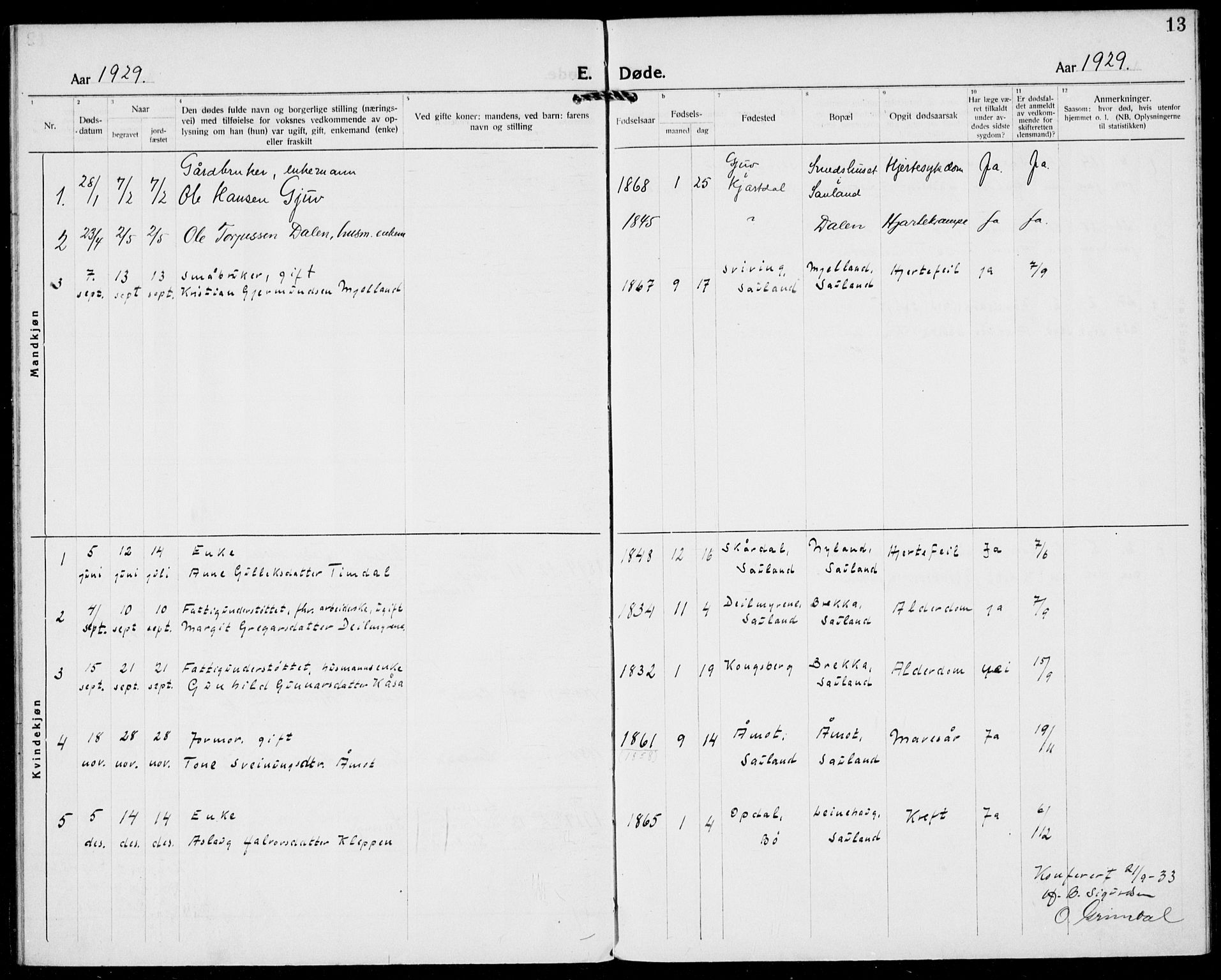 Hjartdal kirkebøker, SAKO/A-270/F/Fb/L0002: Parish register (official) no. II 2, 1880-1932, p. 13
