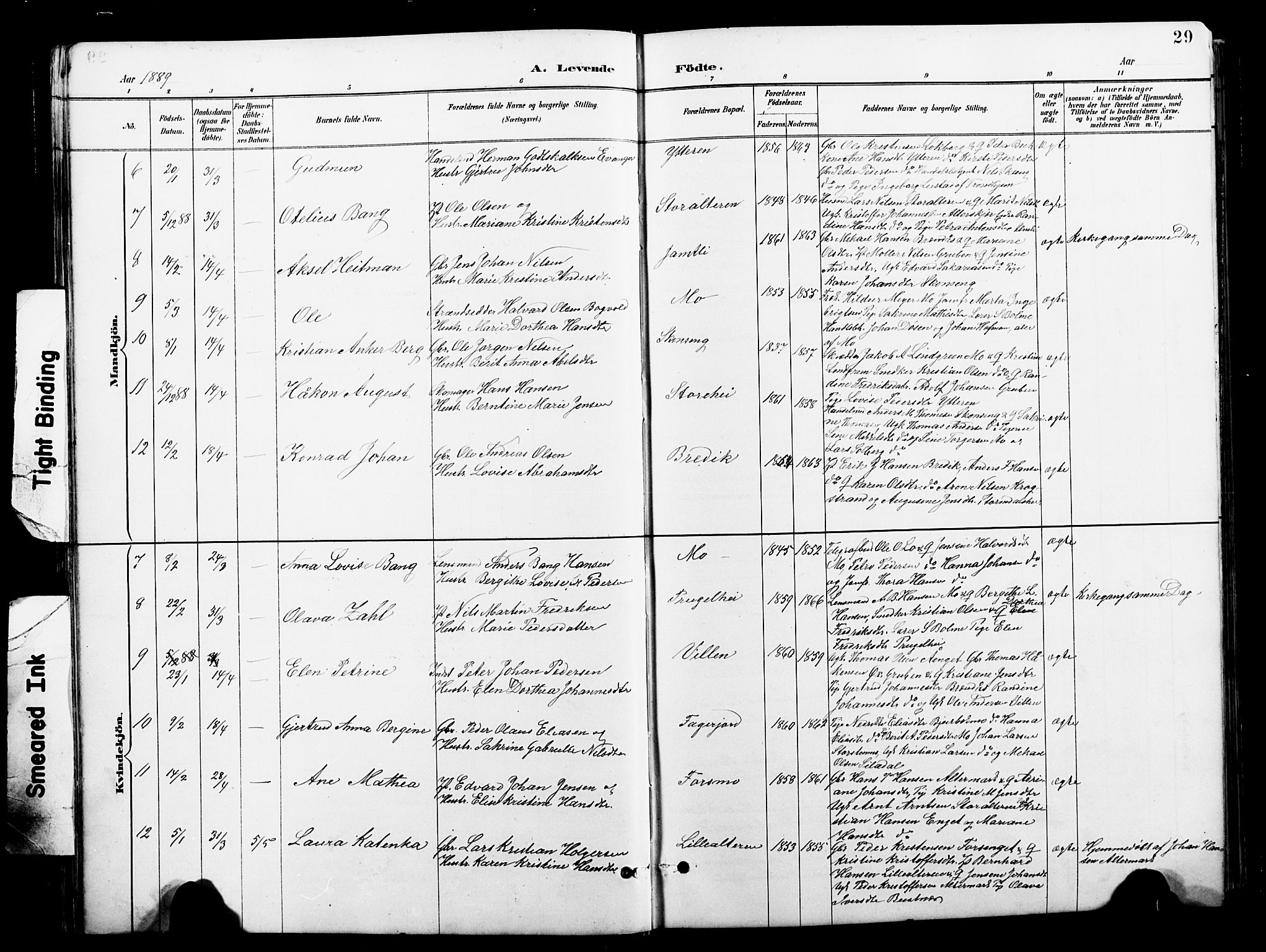 Ministerialprotokoller, klokkerbøker og fødselsregistre - Nordland, SAT/A-1459/827/L0421: Parish register (copy) no. 827C10, 1887-1906, p. 29