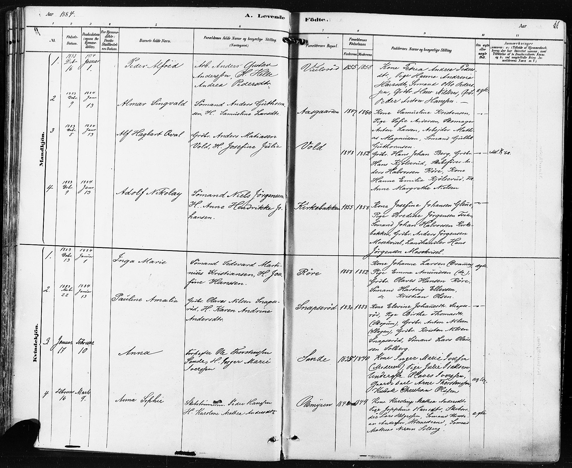 Borre kirkebøker, SAKO/A-338/F/Fa/L0009: Parish register (official) no. I 9, 1878-1896, p. 36