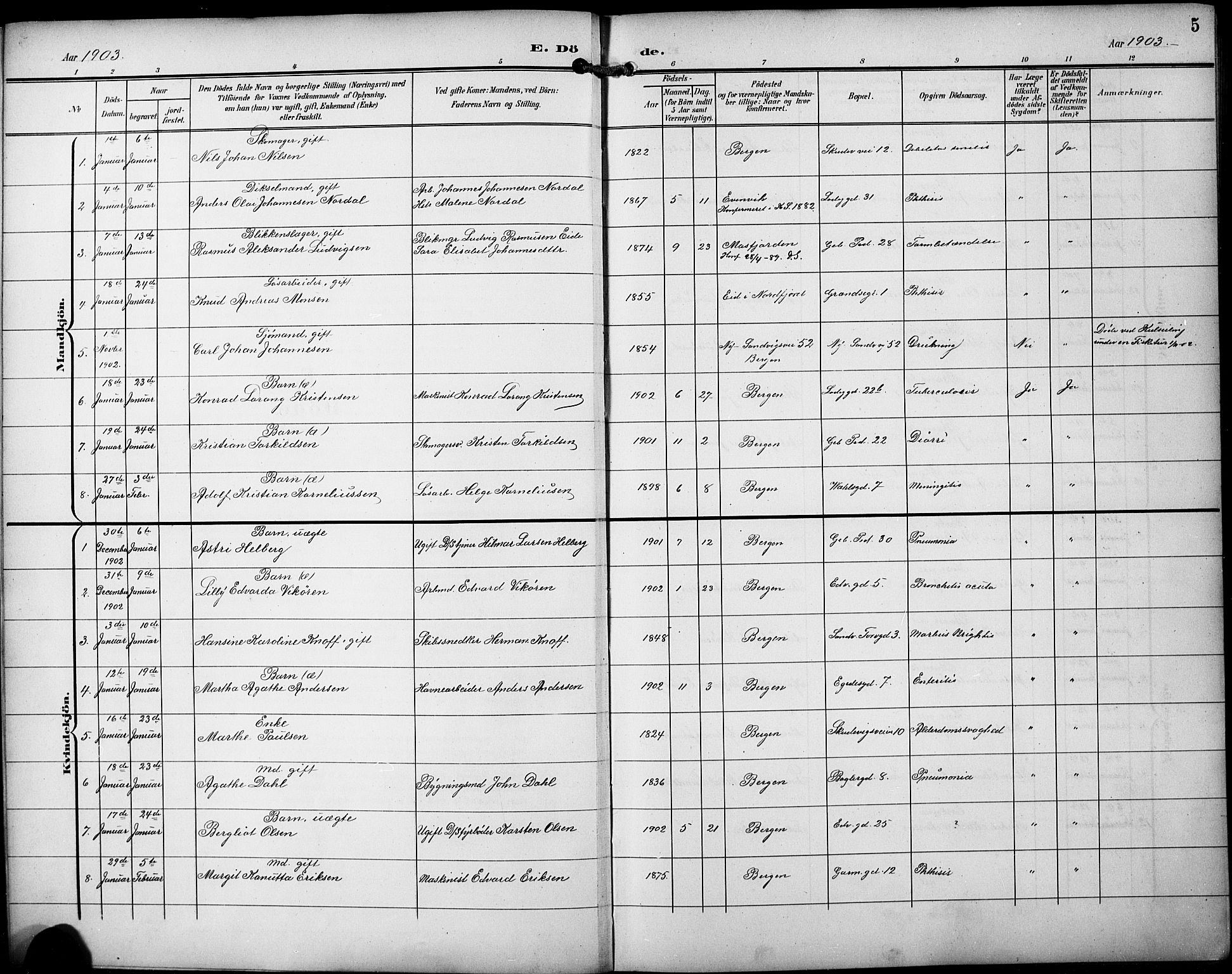 Sandviken Sokneprestembete, AV/SAB-A-77601/H/Hb/L0017: Parish register (copy) no. E 1, 1903-1926, p. 5