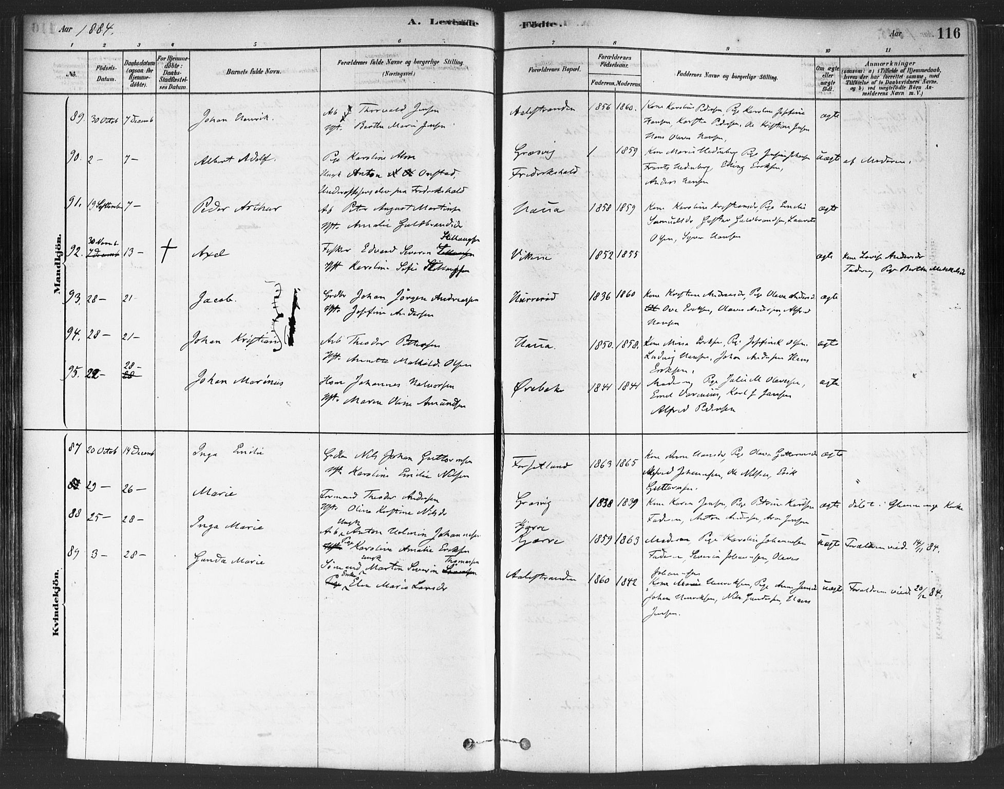 Onsøy prestekontor Kirkebøker, SAO/A-10914/F/Fa/L0005: Parish register (official) no. I 5, 1878-1898, p. 116