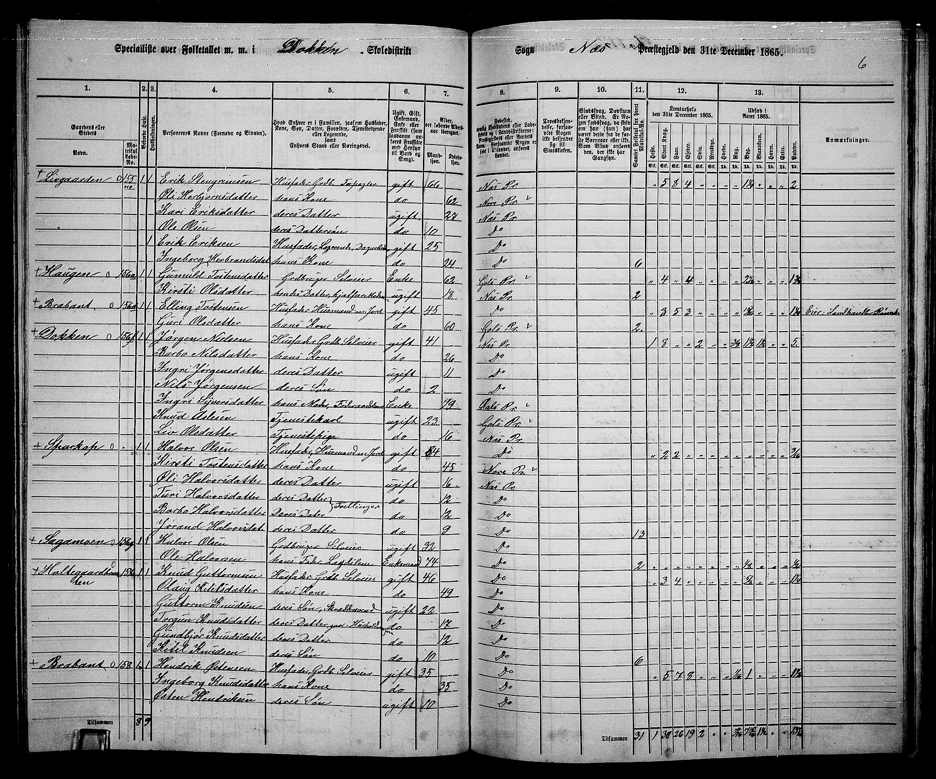 RA, 1865 census for Nes, 1865, p. 145