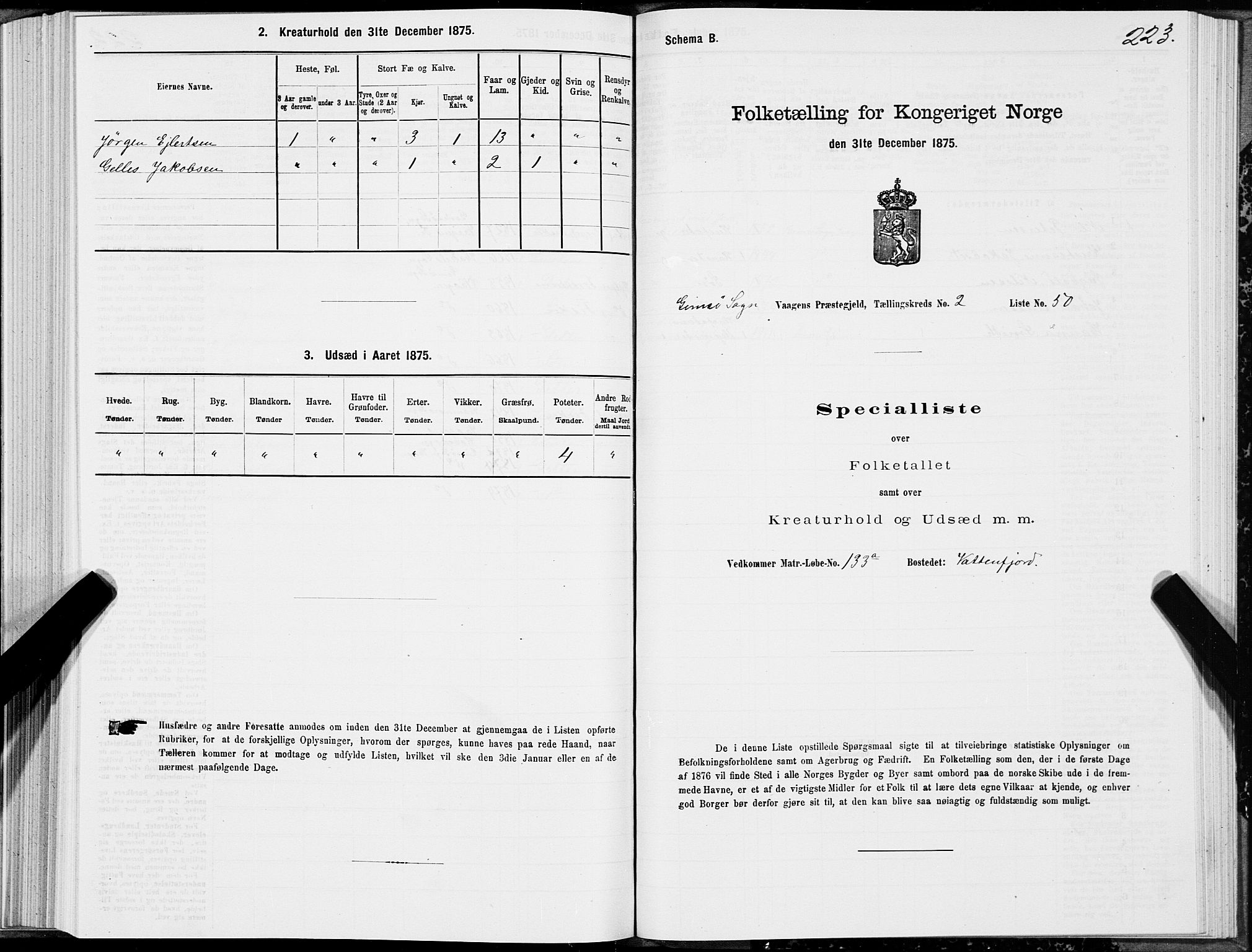 SAT, 1875 census for 1865P Vågan, 1875, p. 5223