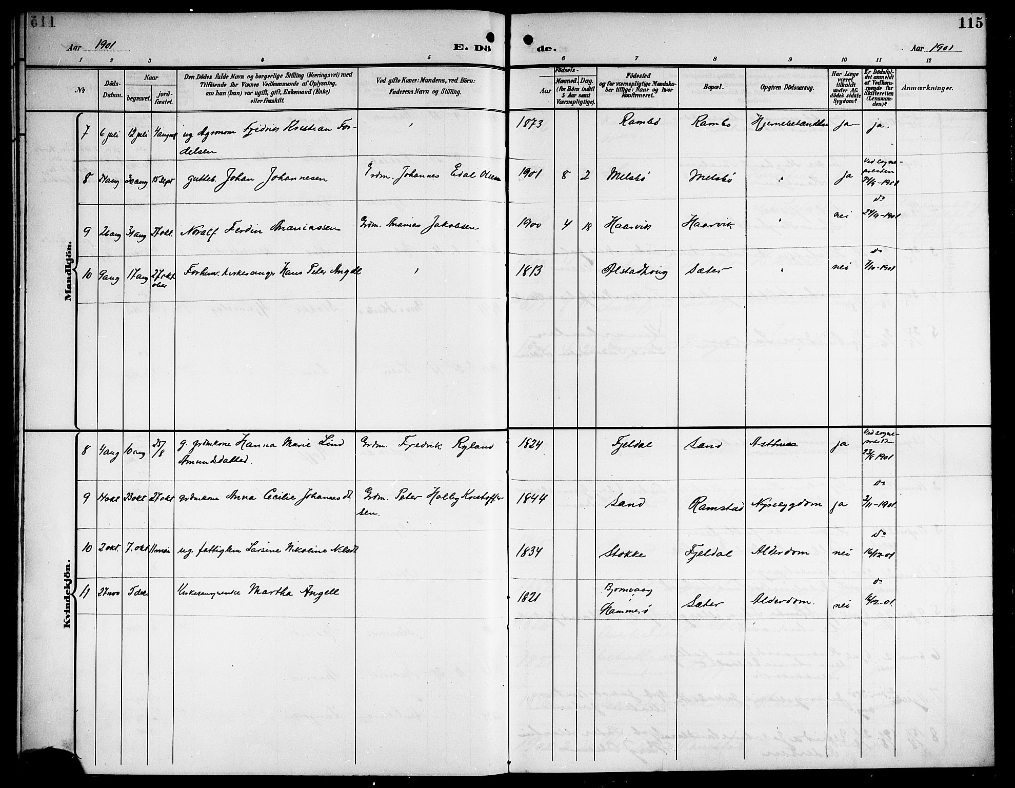 Ministerialprotokoller, klokkerbøker og fødselsregistre - Nordland, AV/SAT-A-1459/865/L0932: Parish register (copy) no. 865C04, 1901-1917, p. 115