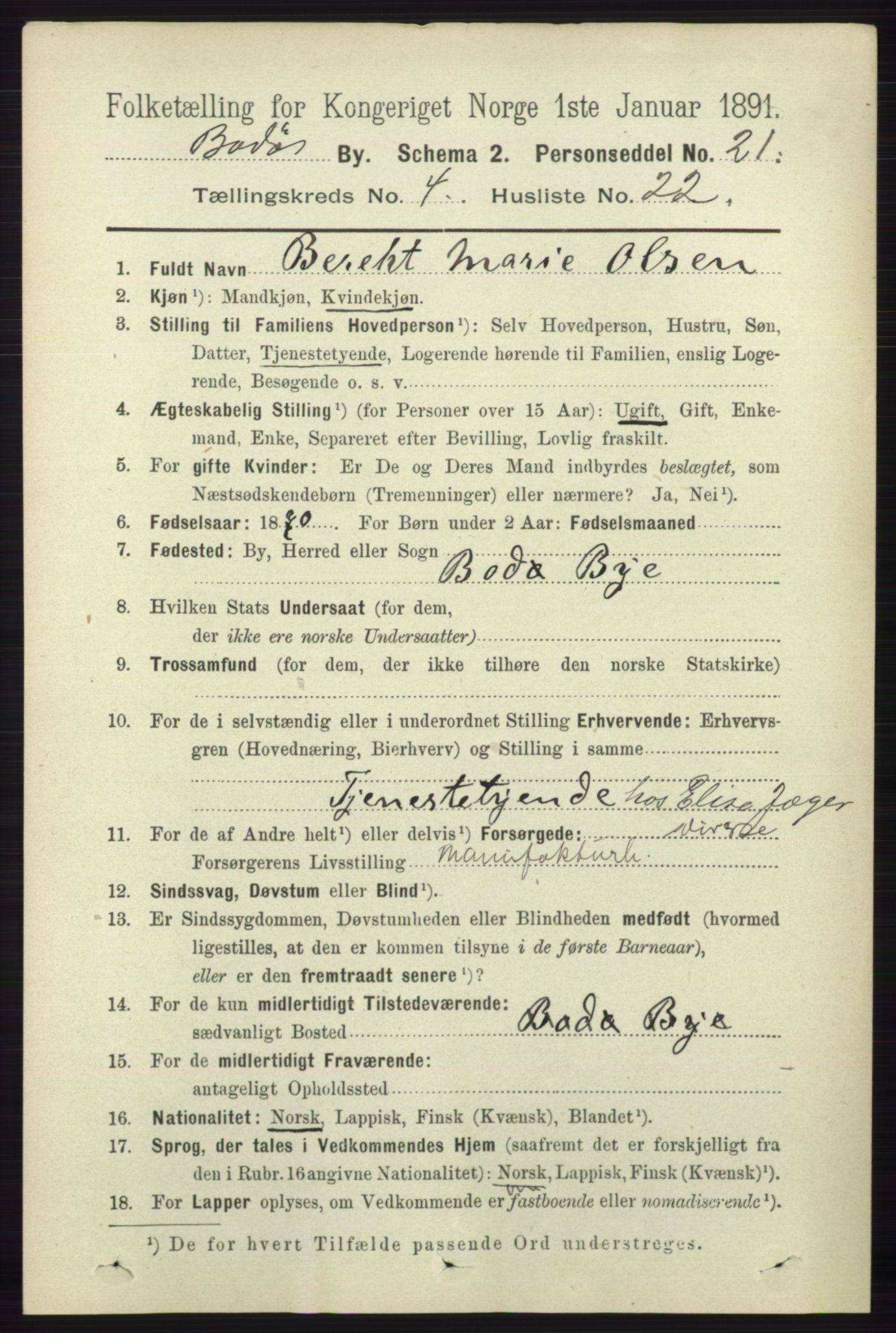 RA, 1891 census for 1804 Bodø, 1891, p. 3252