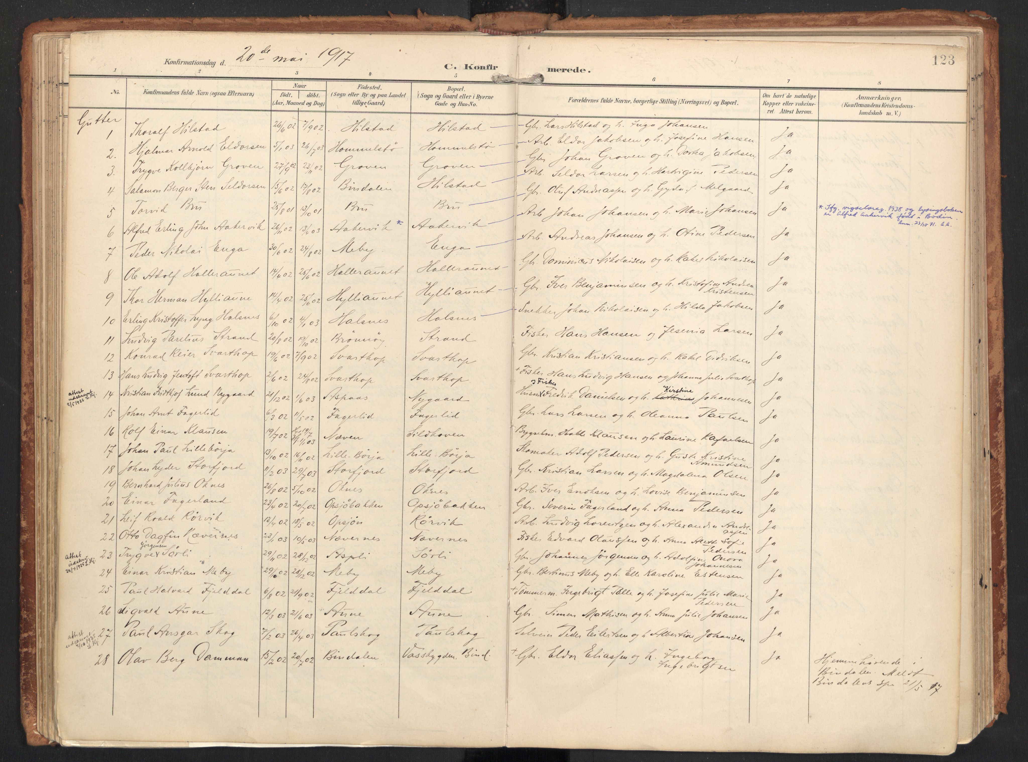Ministerialprotokoller, klokkerbøker og fødselsregistre - Nordland, SAT/A-1459/814/L0227: Parish register (official) no. 814A08, 1899-1920, p. 123