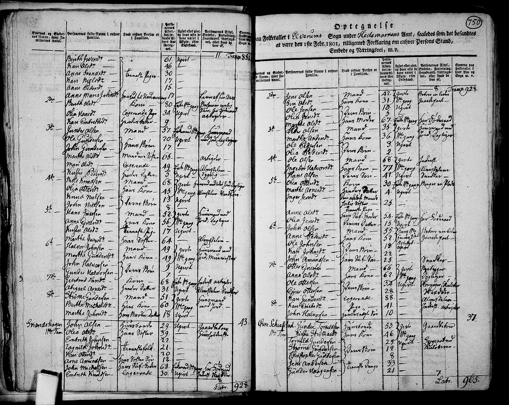 RA, 1801 census for 0427P Elverum, 1801, p. 749b-750a