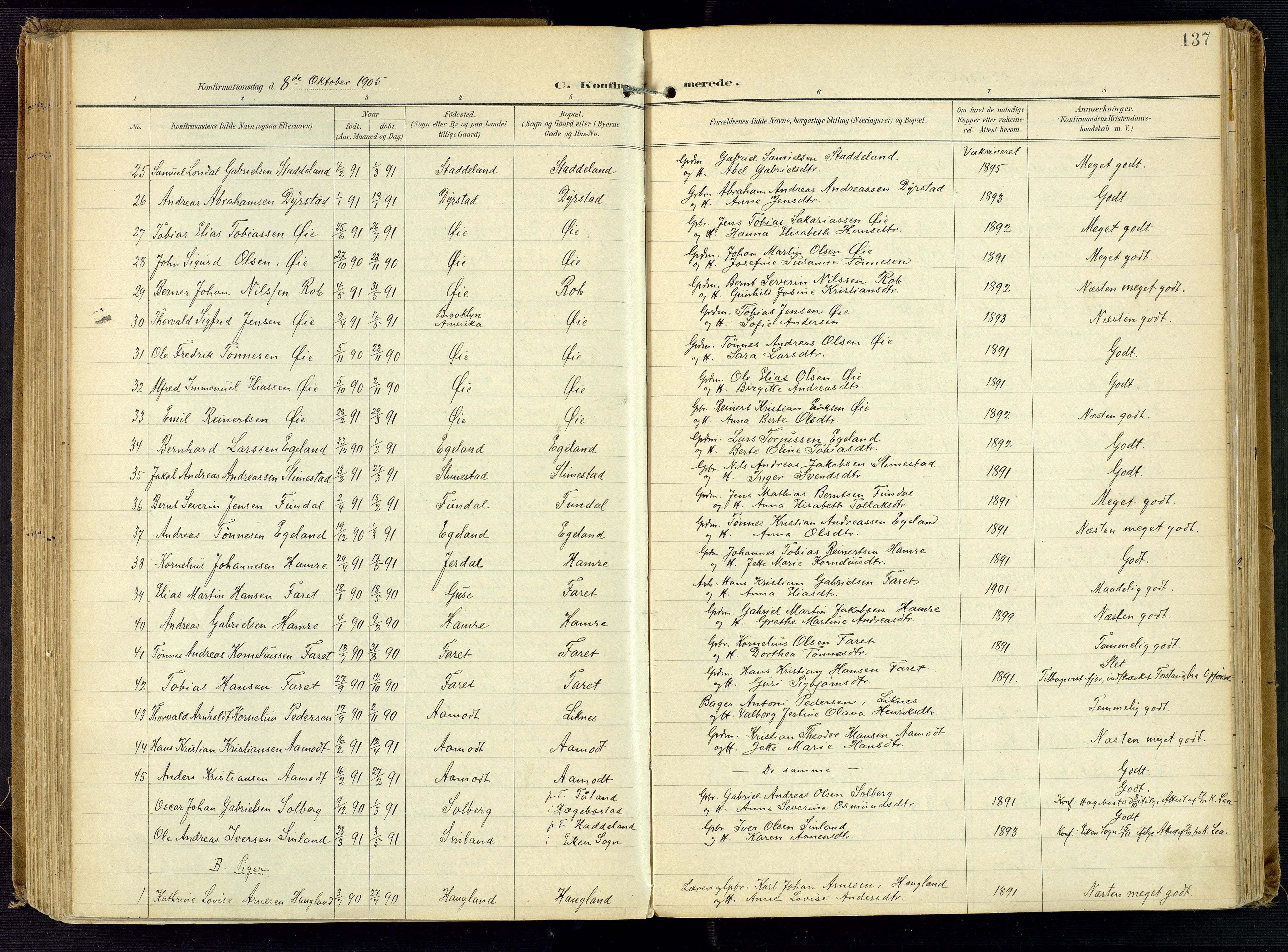 Kvinesdal sokneprestkontor, AV/SAK-1111-0026/F/Fa/Fab/L0009: Parish register (official) no. A 9, 1898-1915, p. 137