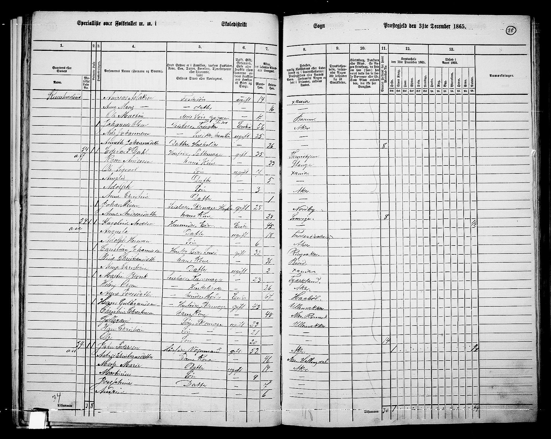 RA, 1865 census for Vestre Aker, 1865, p. 22