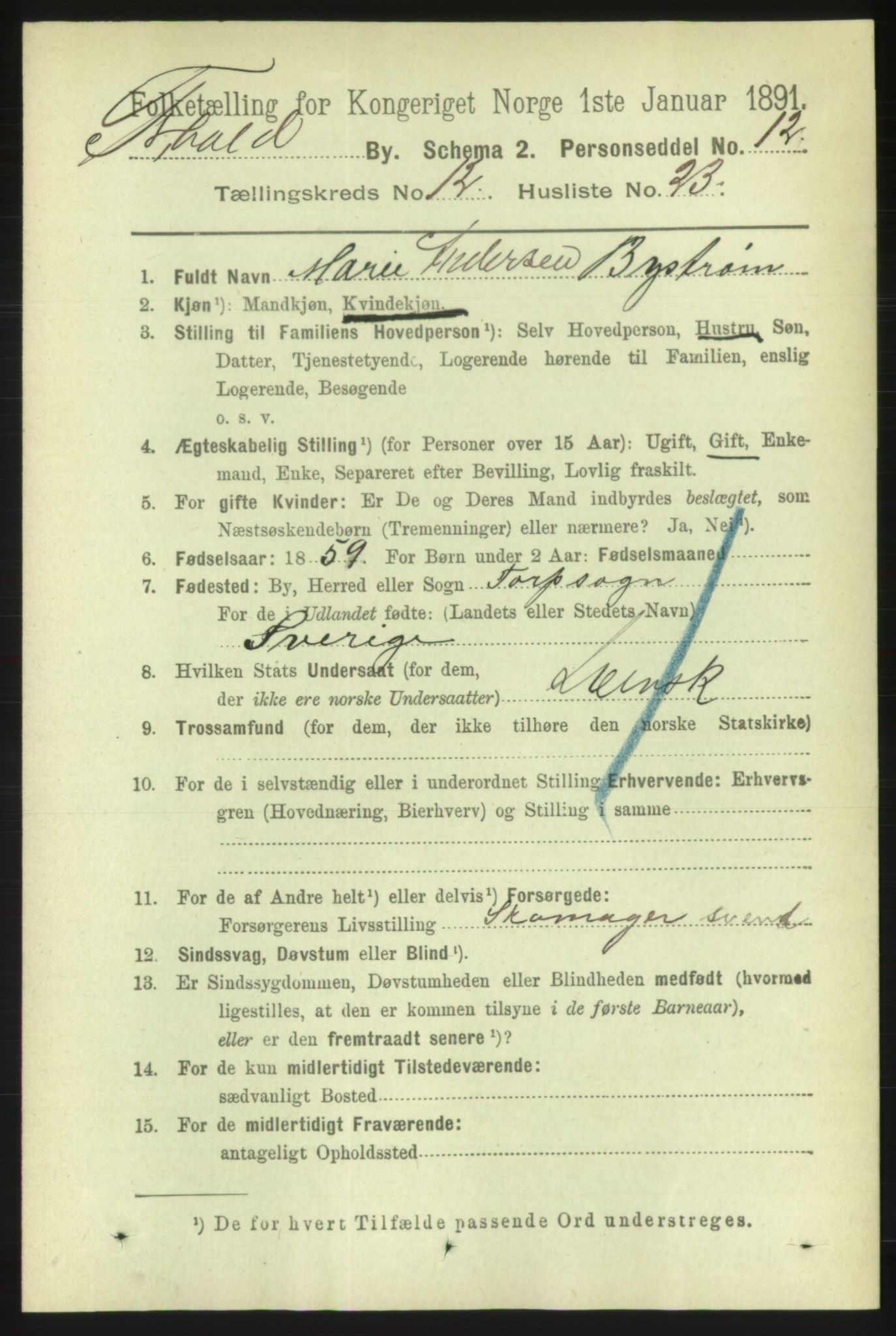 RA, 1891 census for 0101 Fredrikshald, 1891, p. 8574