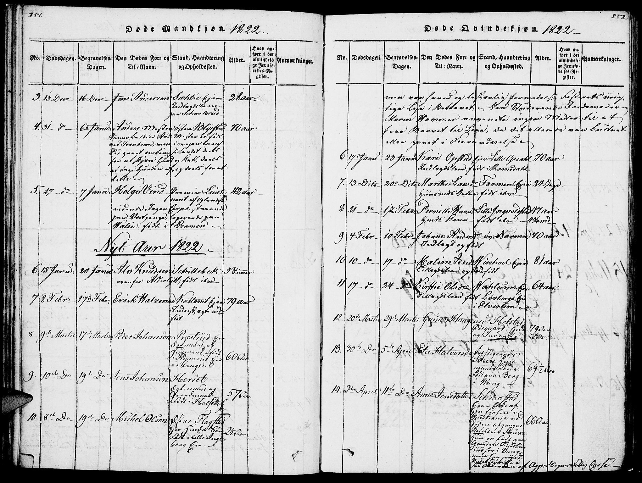 Vang prestekontor, Hedmark, AV/SAH-PREST-008/H/Ha/Haa/L0007: Parish register (official) no. 7, 1813-1826, p. 251-252