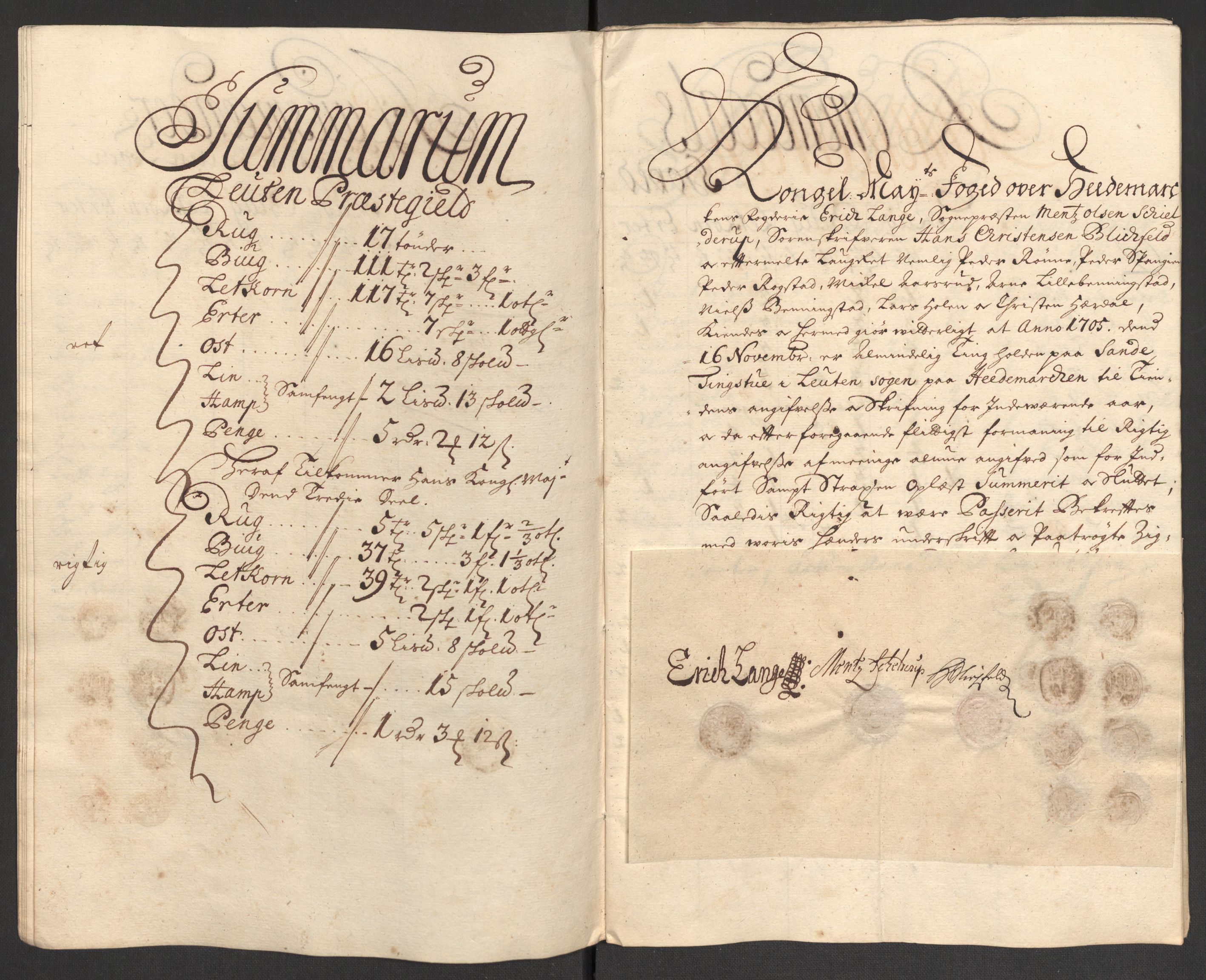 Rentekammeret inntil 1814, Reviderte regnskaper, Fogderegnskap, RA/EA-4092/R16/L1042: Fogderegnskap Hedmark, 1705, p. 48