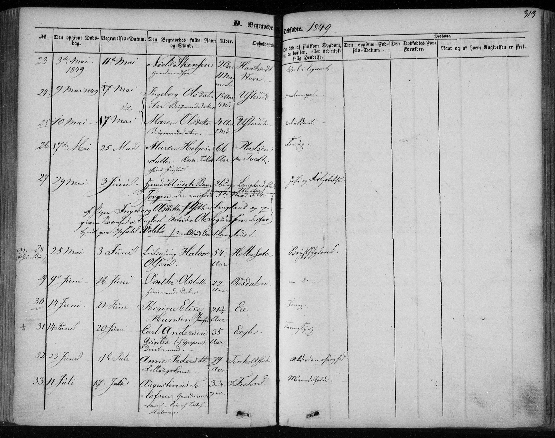 Holla kirkebøker, AV/SAKO-A-272/F/Fa/L0005: Parish register (official) no. 5, 1849-1860, p. 313