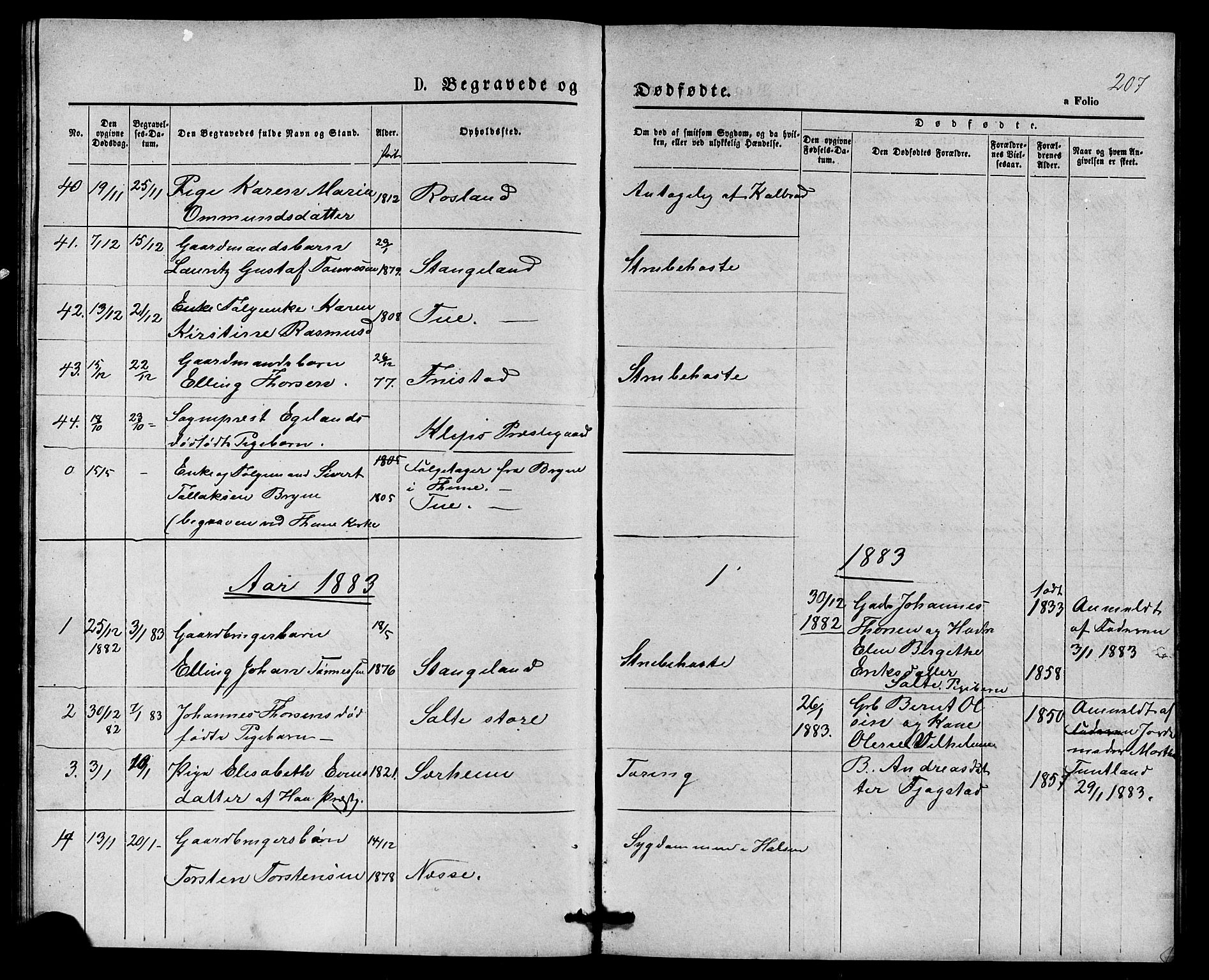 Klepp sokneprestkontor, SAST/A-101803/001/3/30BB/L0003: Parish register (copy) no. B 3, 1876-1888, p. 207