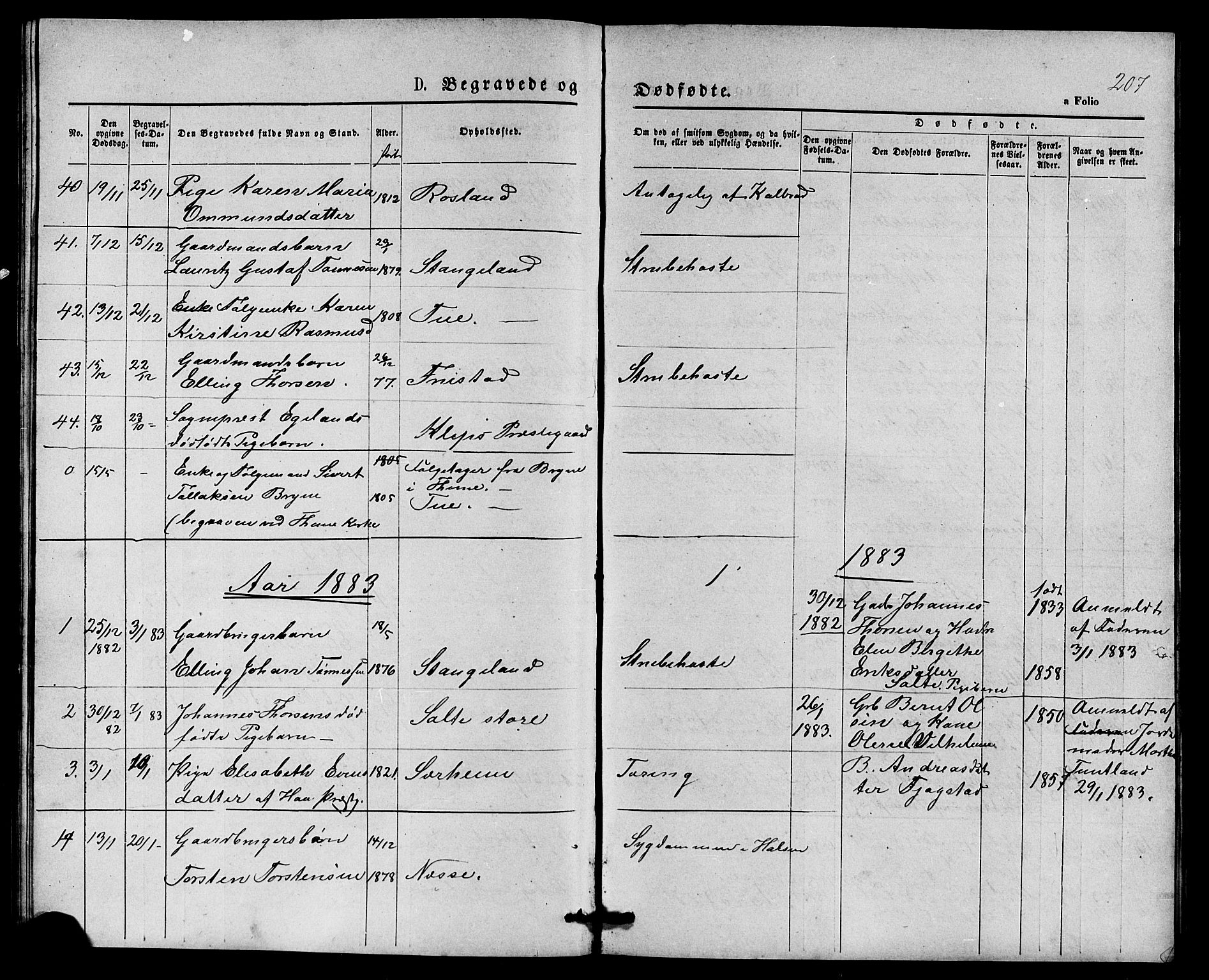 Klepp sokneprestkontor, AV/SAST-A-101803/001/3/30BB/L0003: Parish register (copy) no. B 3, 1876-1888, p. 207