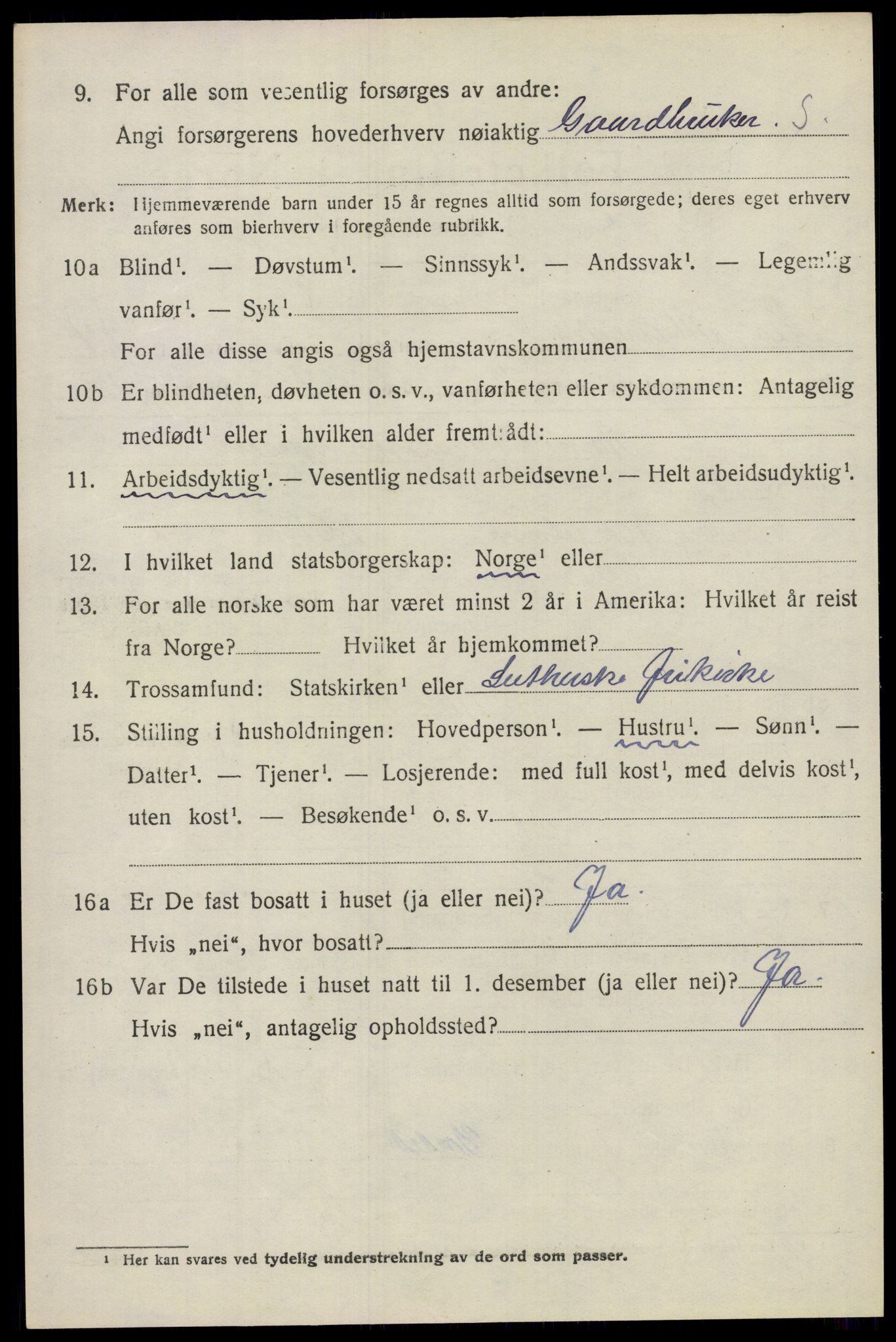 SAO, 1920 census for Nes, 1920, p. 13959