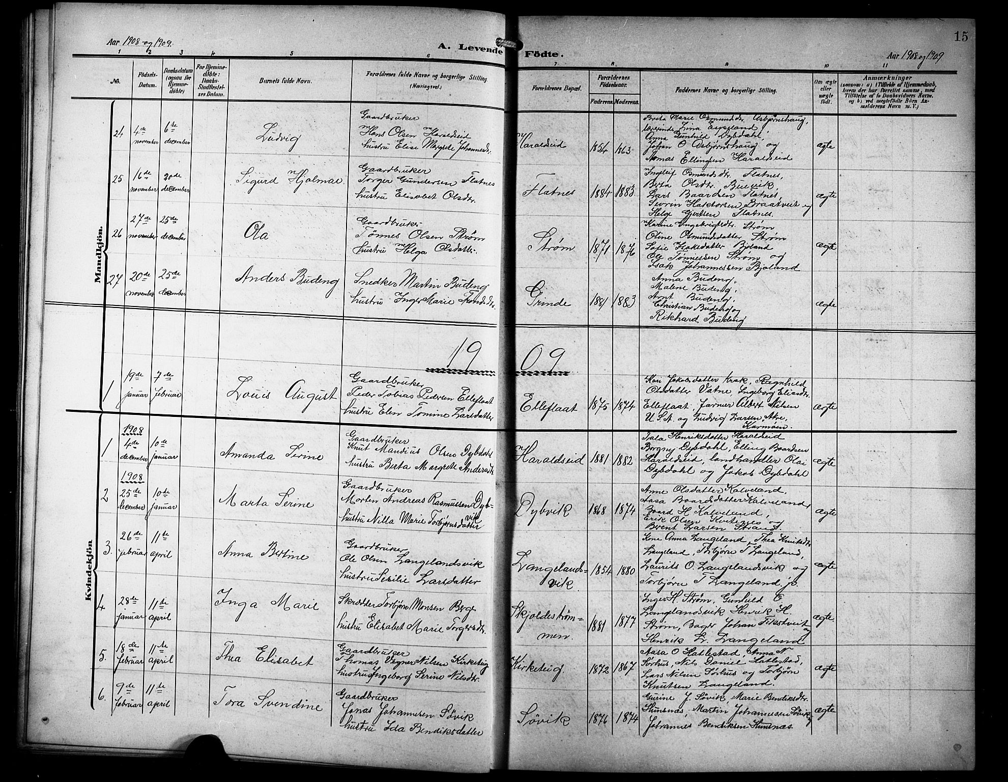 Skjold sokneprestkontor, SAST/A-101847/H/Ha/Hab/L0008: Parish register (copy) no. B 8, 1906-1920, p. 15