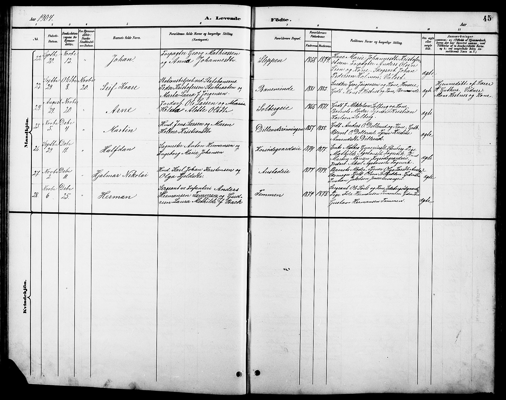 Stange prestekontor, AV/SAH-PREST-002/L/L0011: Parish register (copy) no. 11, 1895-1917, p. 45