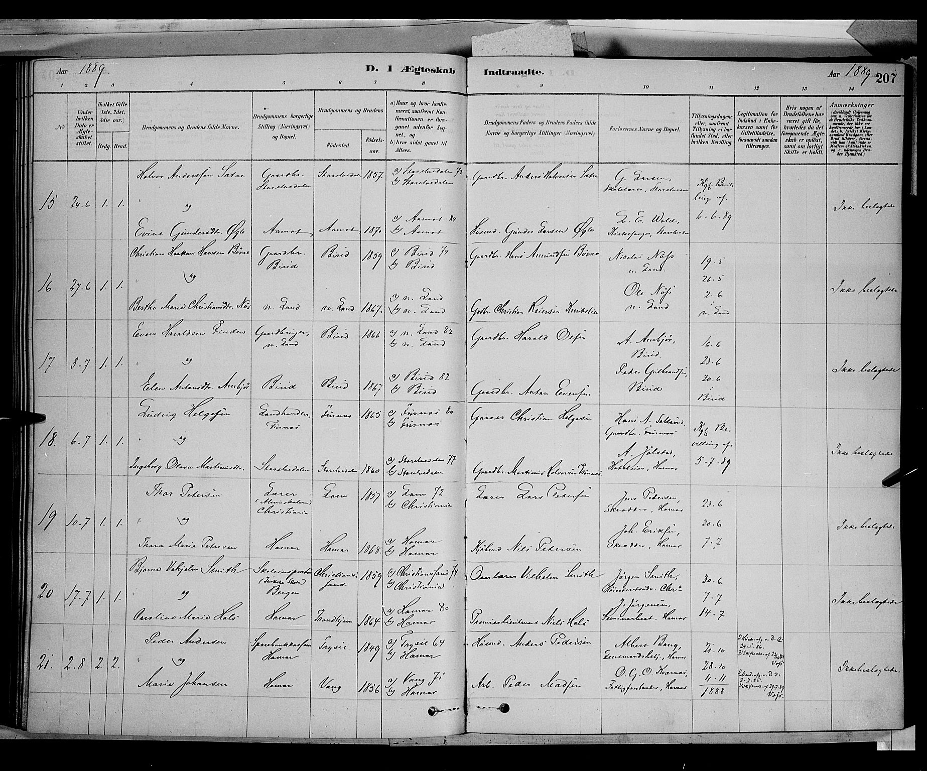 Vang prestekontor, Hedmark, AV/SAH-PREST-008/H/Ha/Haa/L0016: Parish register (official) no. 16, 1878-1889, p. 207