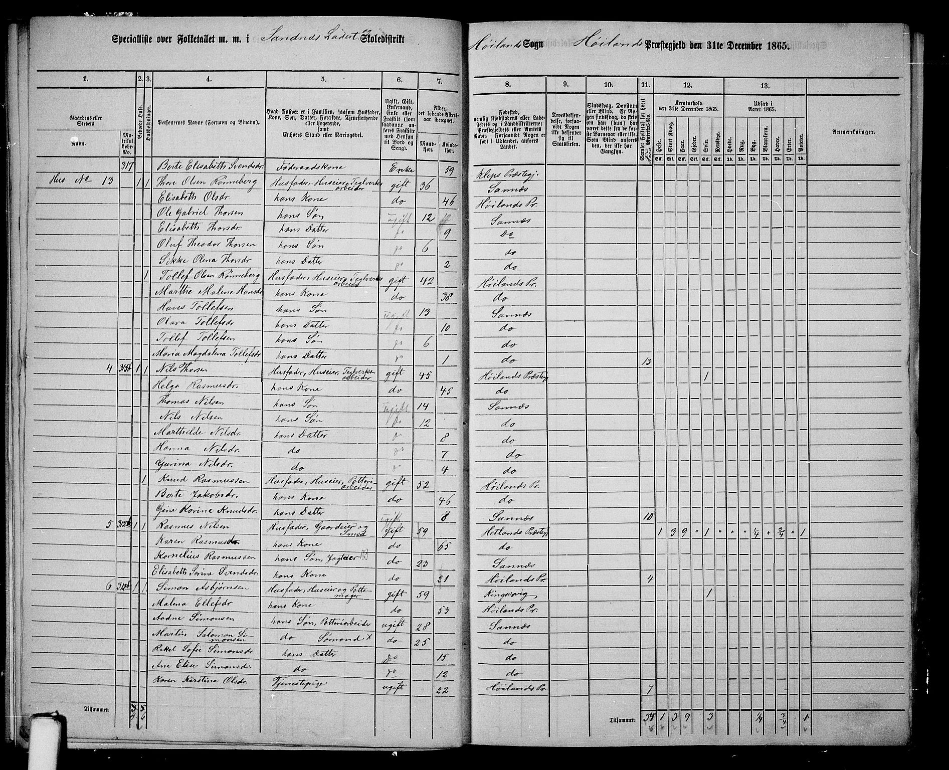 RA, 1865 census for Høyland, 1865, p. 153