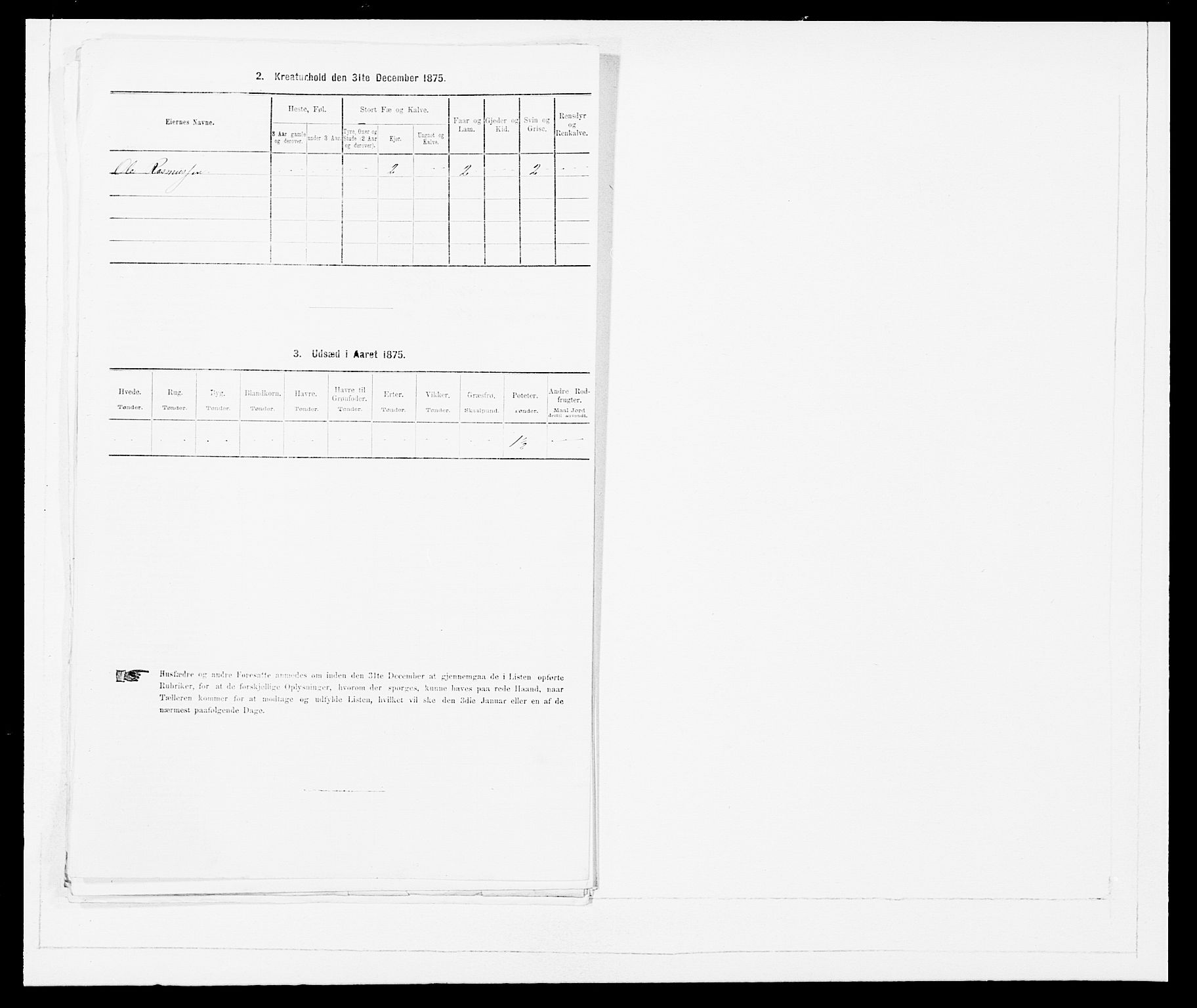 SAB, 1875 Census for 1447P Innvik, 1875, p. 389