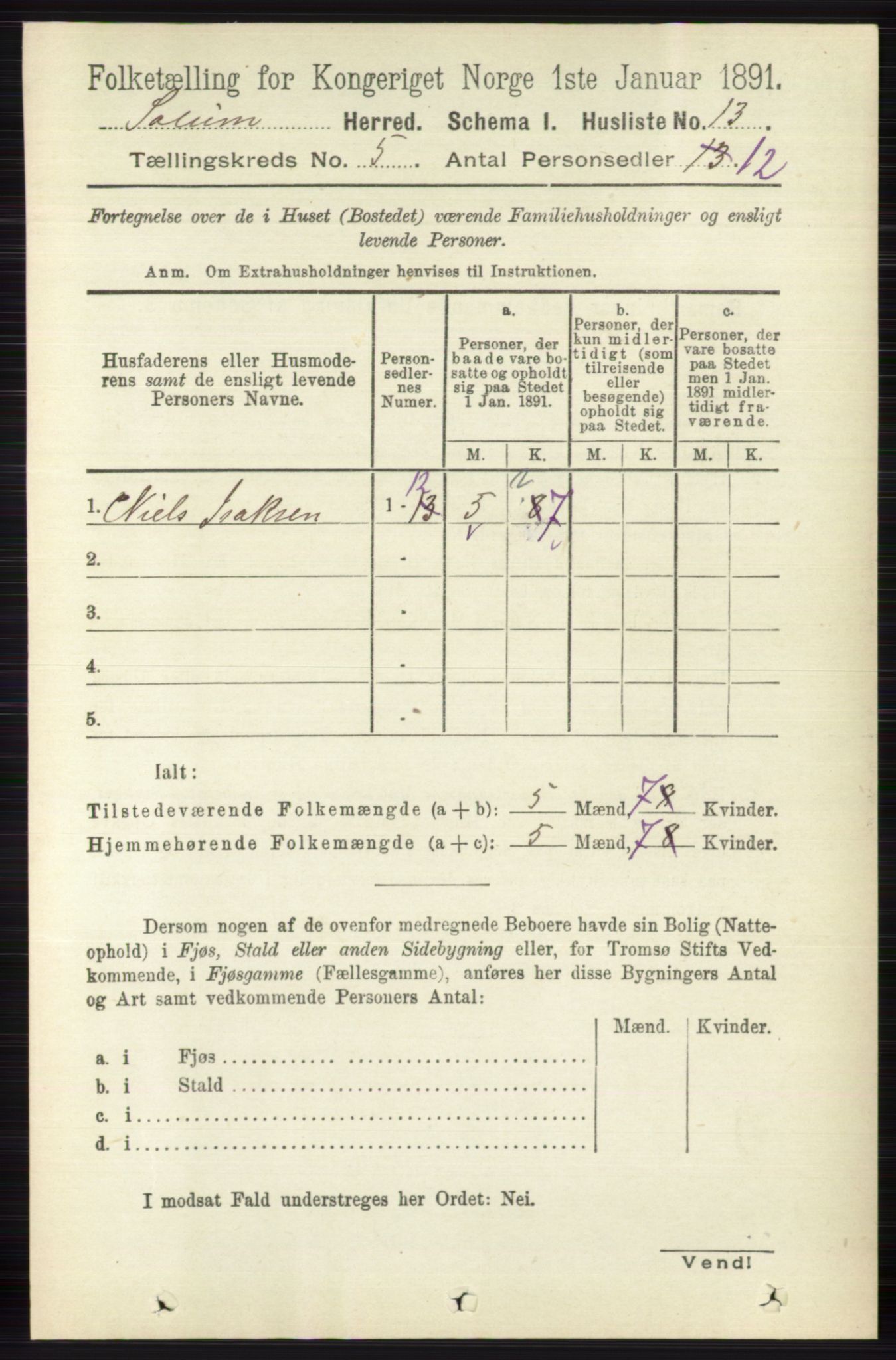 RA, 1891 census for 0818 Solum, 1891, p. 810