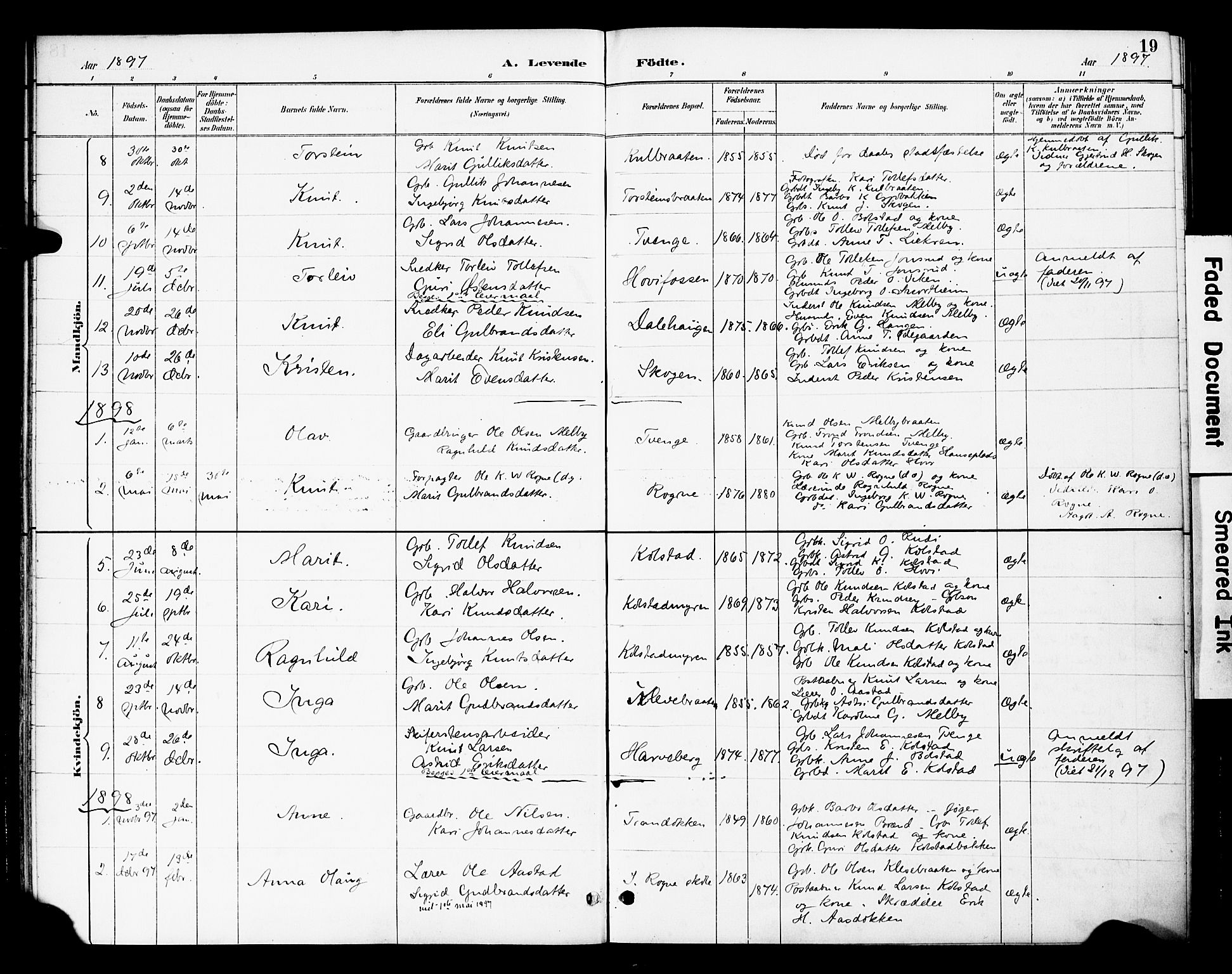 Øystre Slidre prestekontor, AV/SAH-PREST-138/H/Ha/Haa/L0003: Parish register (official) no. 3, 1887-1910, p. 19