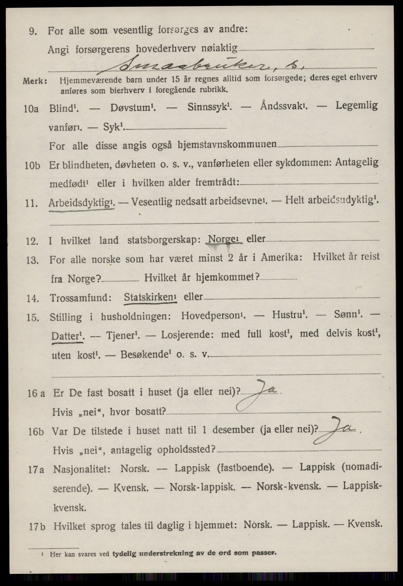 SAT, 1920 census for Hemne, 1920, p. 3961
